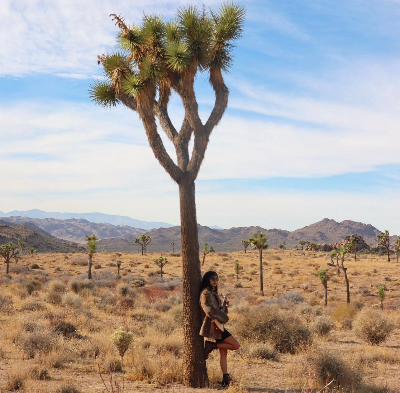 Birthday number 2 at Joshua Tree National Park, CA