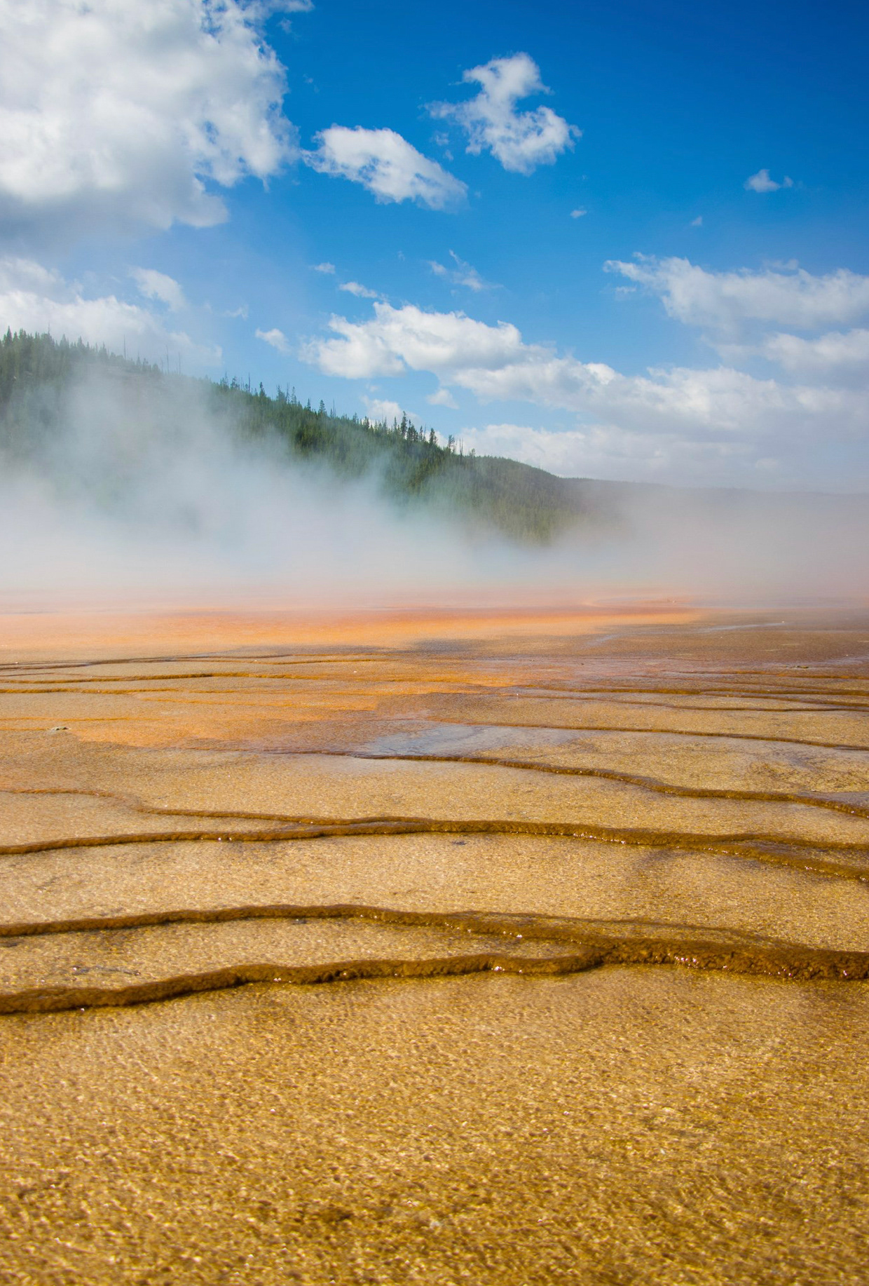 Yellowstone National Park, WY