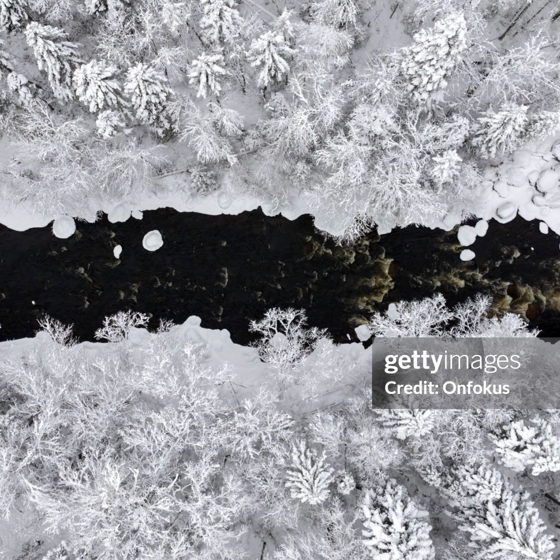 Aerial View of Boreal Nature Forest and River in Winter After Snowstorm.Riviere Neilson River in Zec Batiscan Neilson, Saint-Raymond, Quebec, Canada.