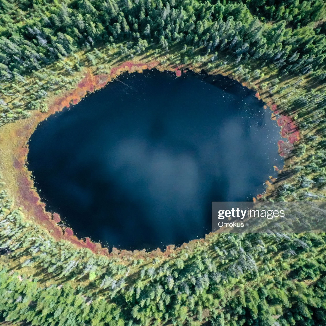 Aerial View of Boreal Nature Forest and lake in Summer, Quebec, Canada. The shape and the couloirs of the picture is creating an eye illusion.