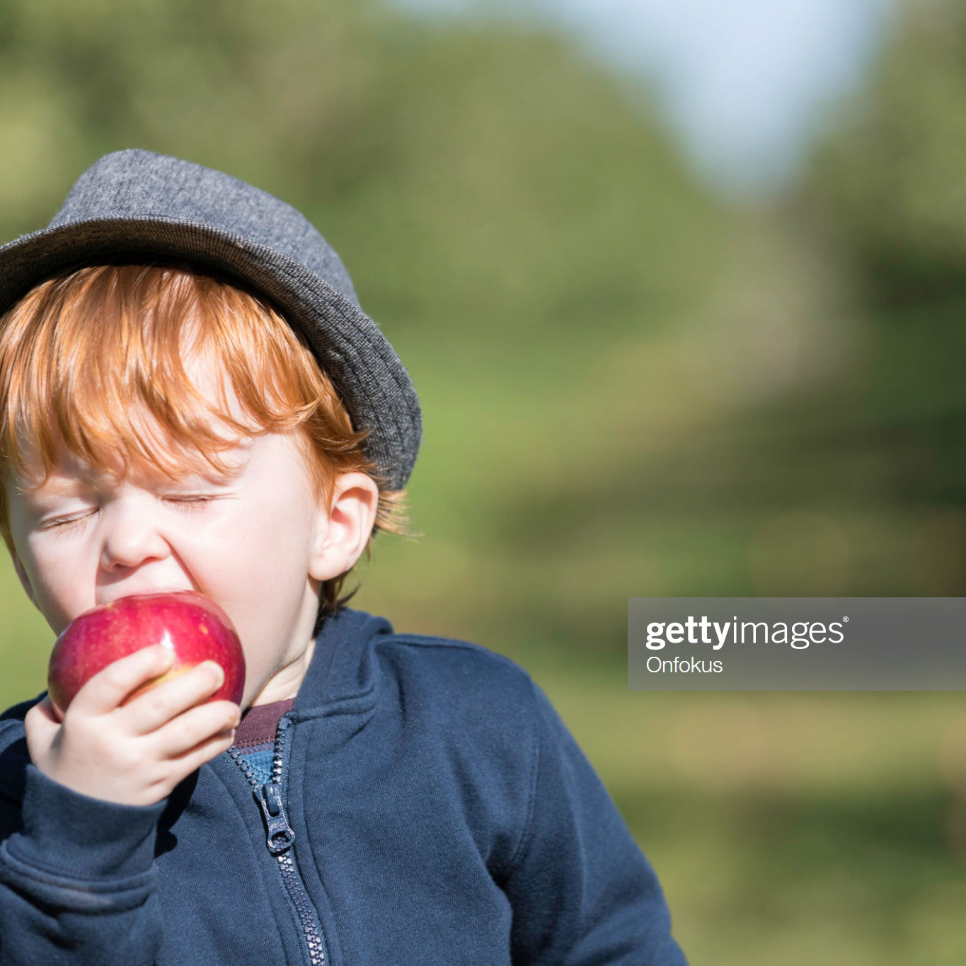 Young cute Redhead Baby Boy Picking Apples in Orchard