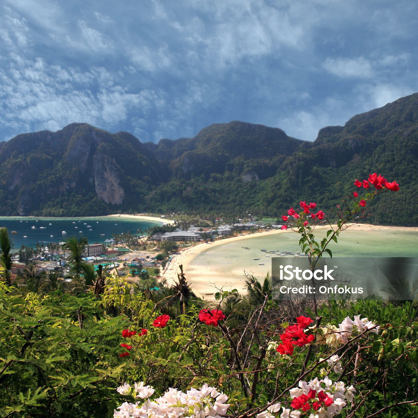DSLR picture of the Kho Phi Phi Don Island and bay in Thailand. There is white and red flowers in the foreground and the sky with few clouds and green mountains in the background.