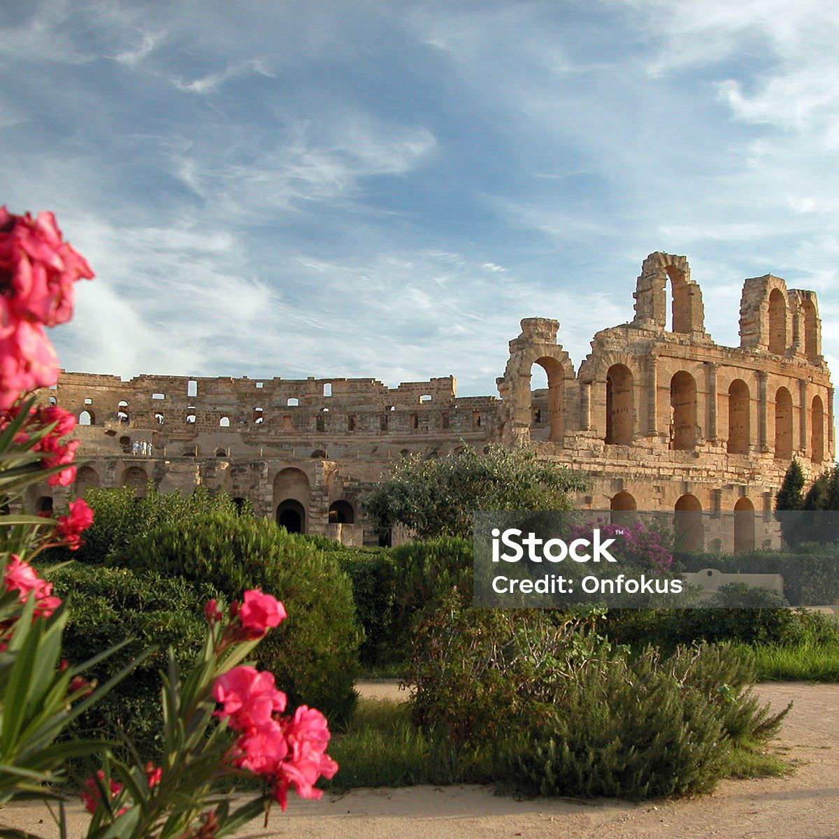 Photo of the El Djem Coliseum in Tunisia. The picture was taken during a cloudy but sunny day. The Coliseum is in the background of the image. Some flowers and bushes are found through the sand around the Coliseum. Some pink flours are in the foreground of the image.