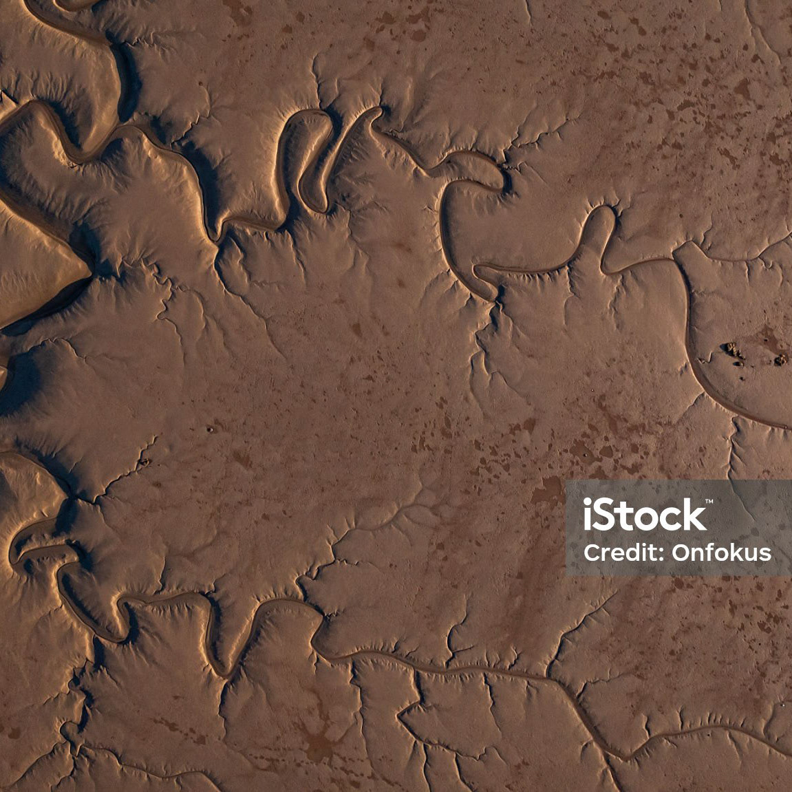 Aerial View of Bottom of Atlantic Sea at low tide displays detailed patterns of mud and water highlighting textures and the beauty of natural coastal landscapes at Sunset.