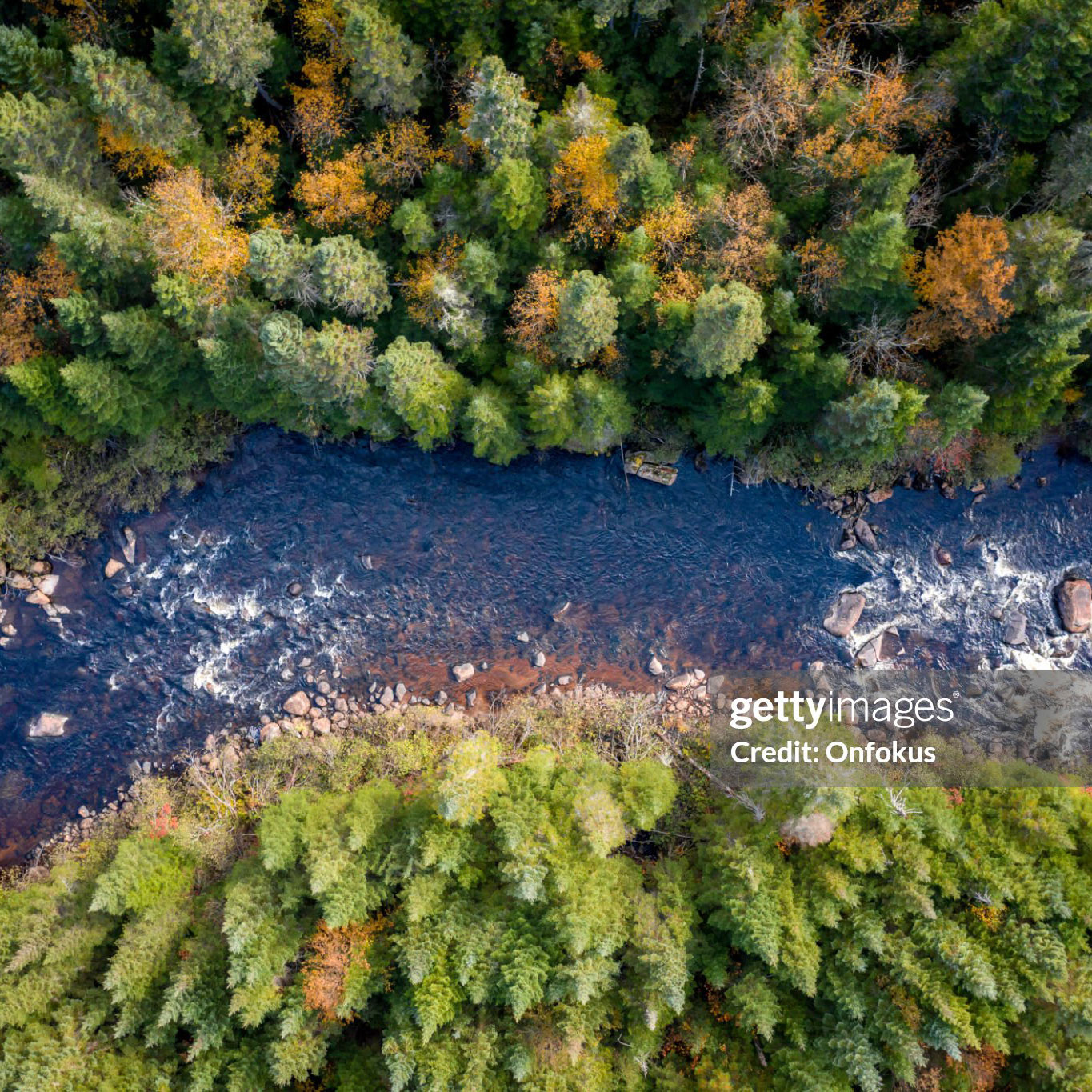 Aerial View of Boreal Forest Nature and River in Autumn Season, Quebec, Canada