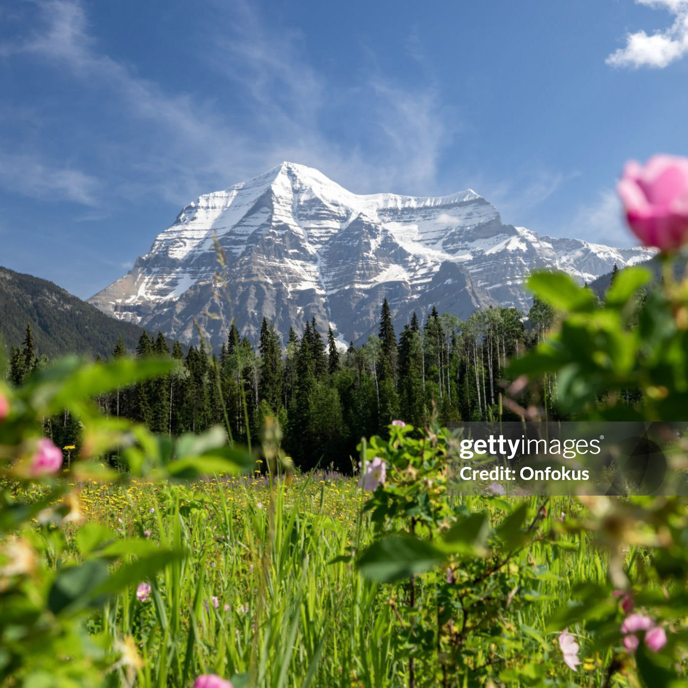 Mount Robson Mountain Summit in Summer, British Columbia, Canada. The Mount Robson is one of the highest summits in Canada and located in the Mount Robson Provincial Park, BC.