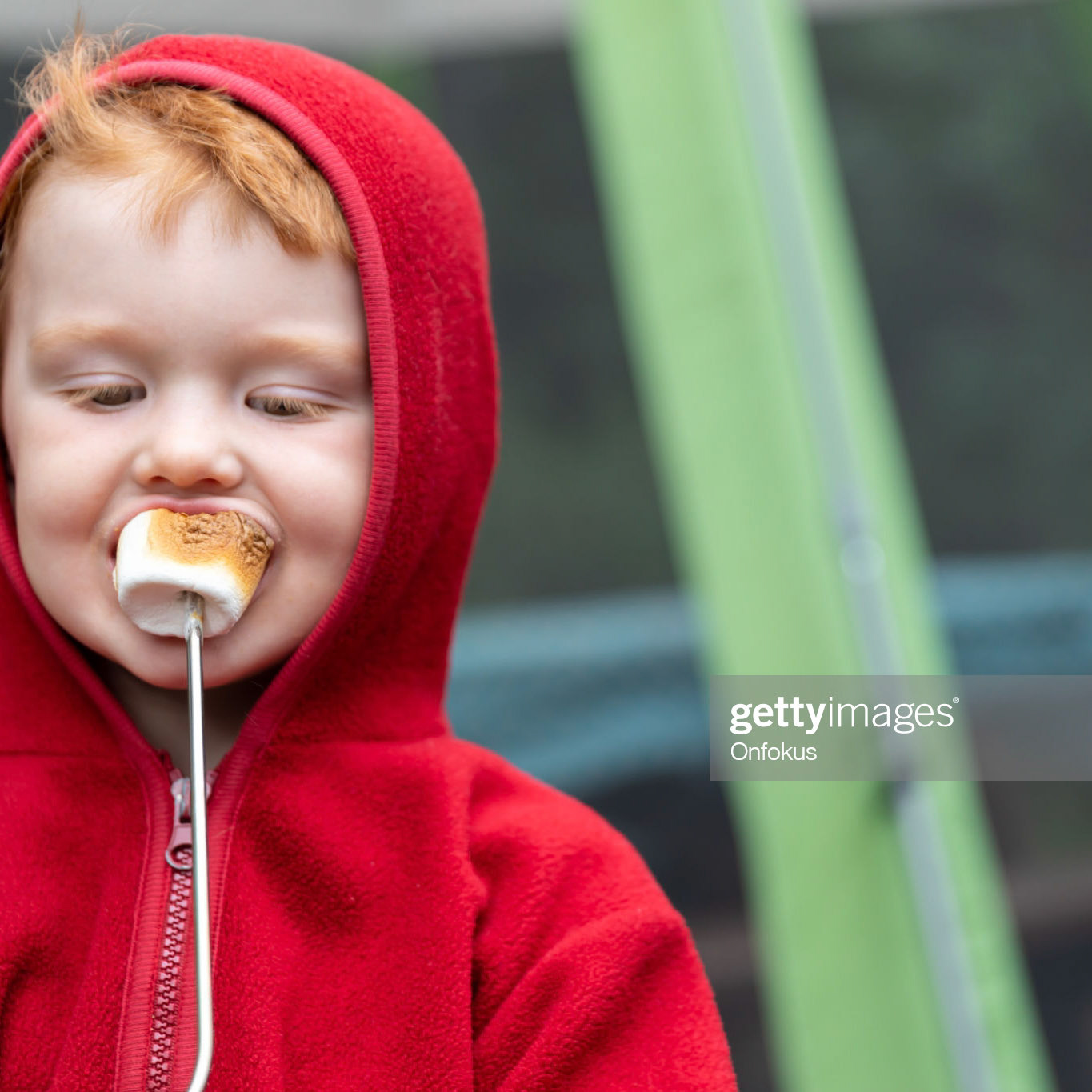 Cute Redhead Child Roasting and eating Marshmallow over Campfire in Camping in Summer.