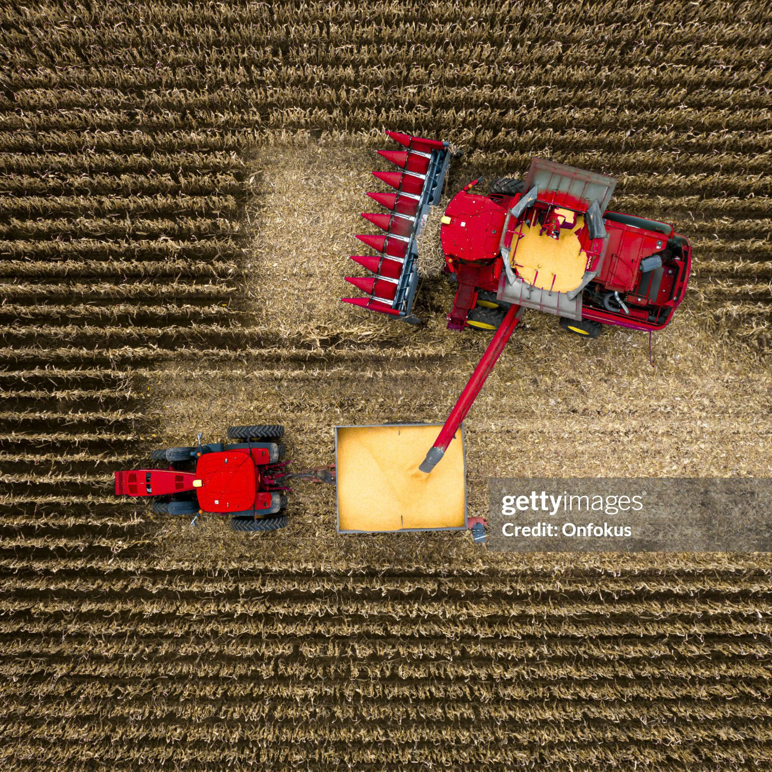 Aerial View of Tractor and Agricultural Machinery Harvesting corn field, Quebec, Canada.