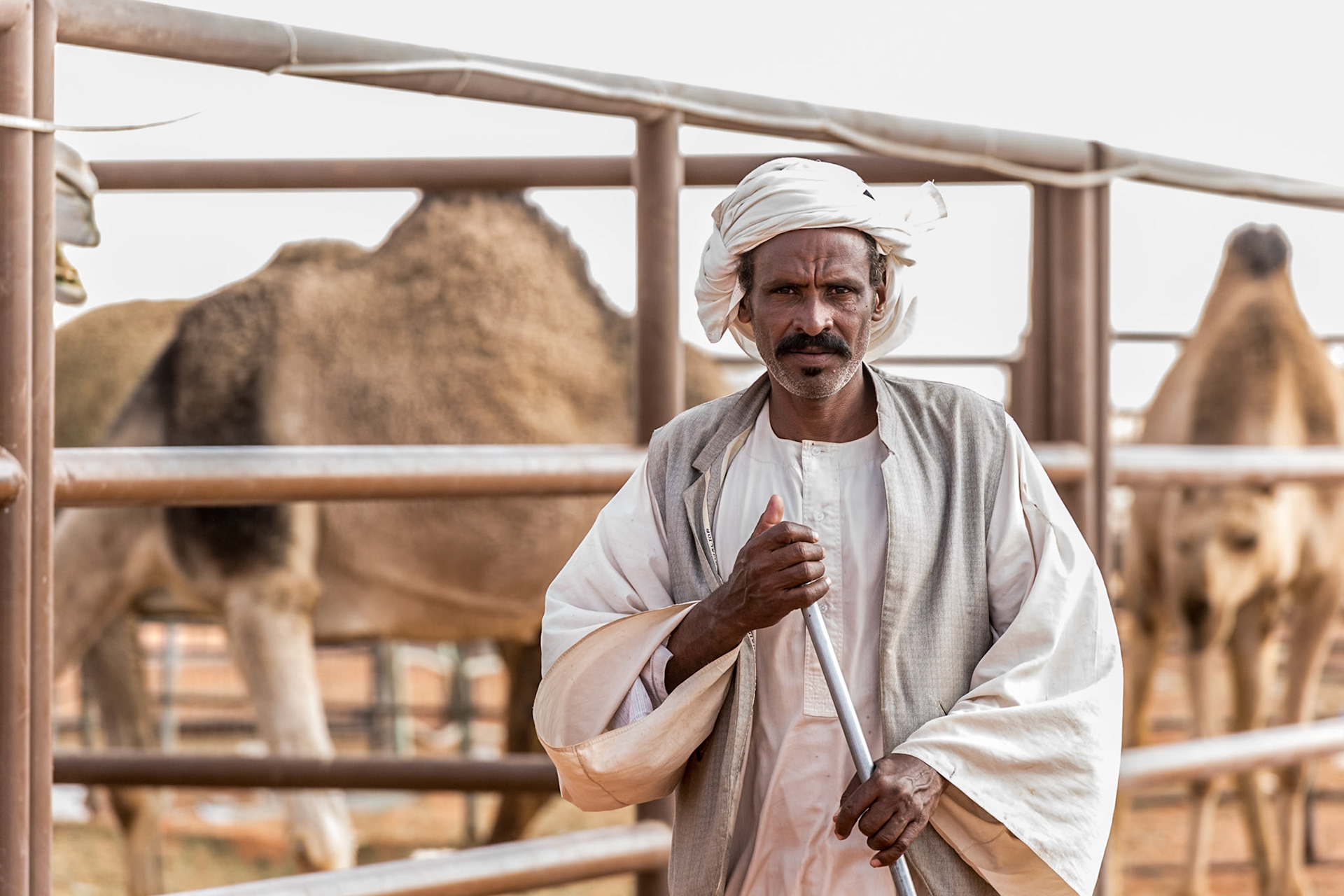 Camel herder, Camel auction, north of Riyadh