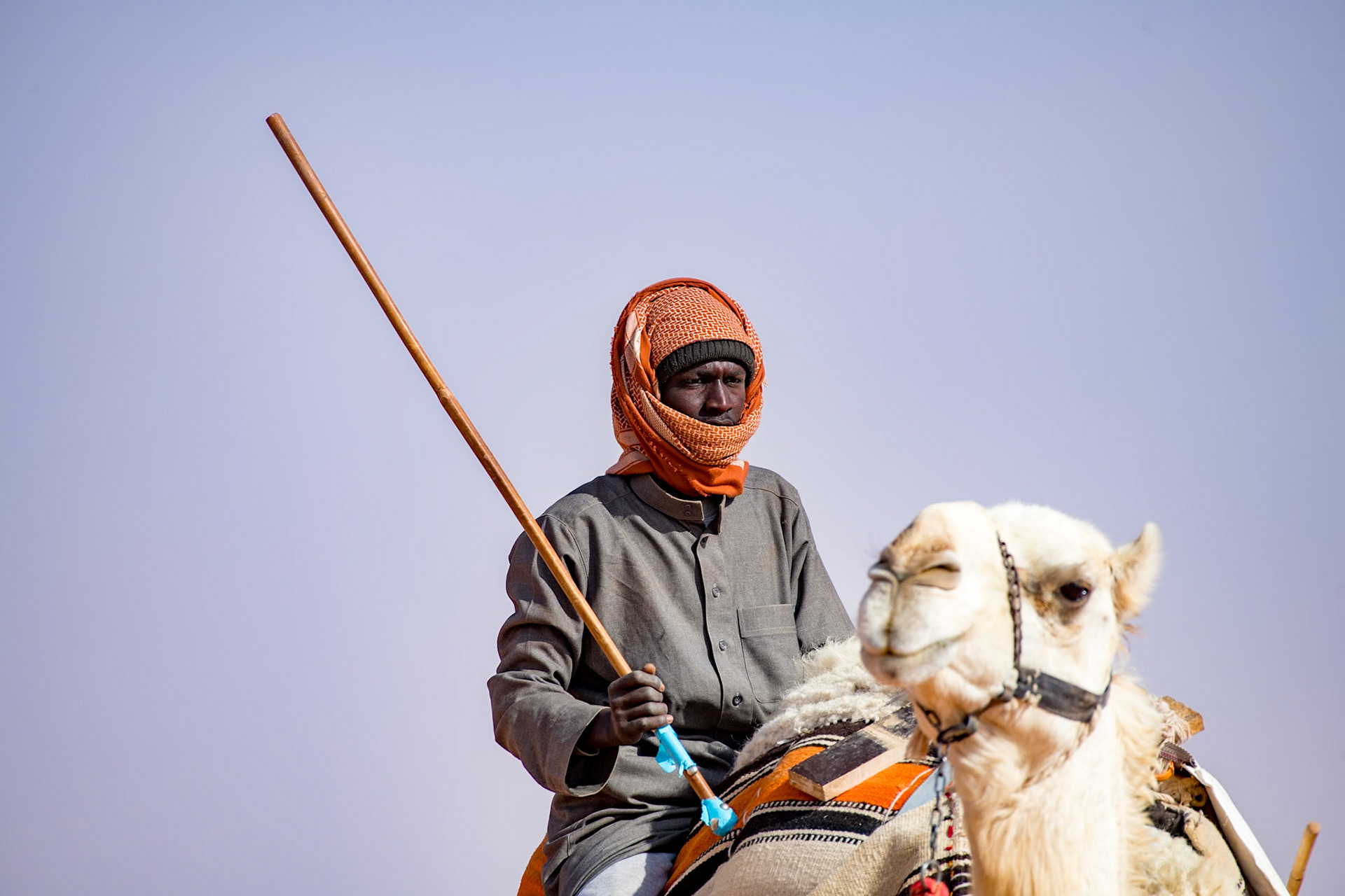 Camel herder, King Abdulaziz Camel Festival
