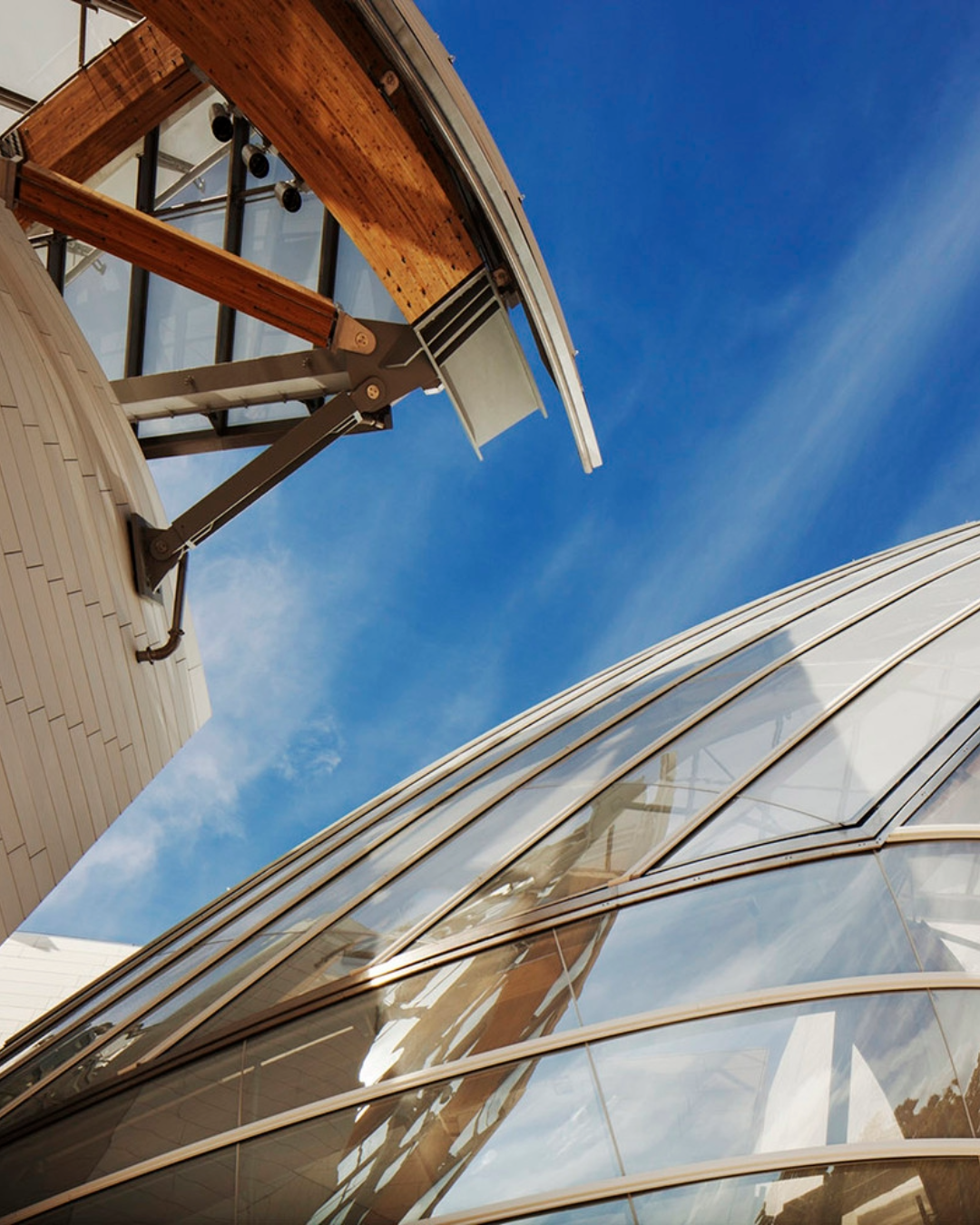 6. © Gehry Partners, LLP and Frank O. Gehry © Todd Eberle