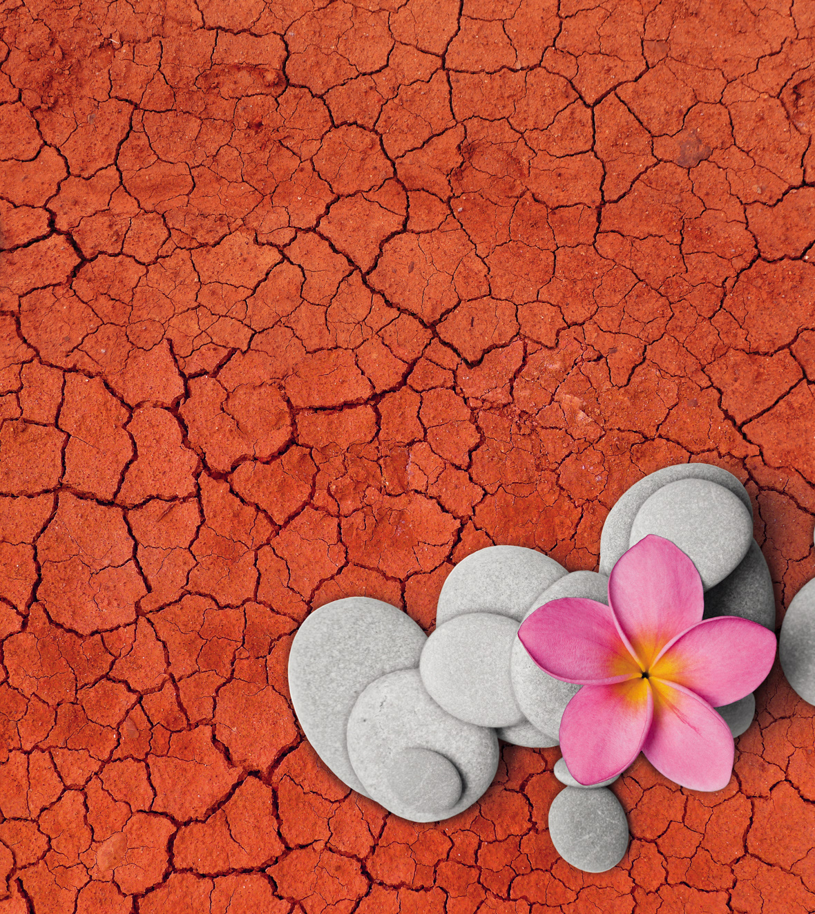 final design (flower&stones photo - Strandperle)