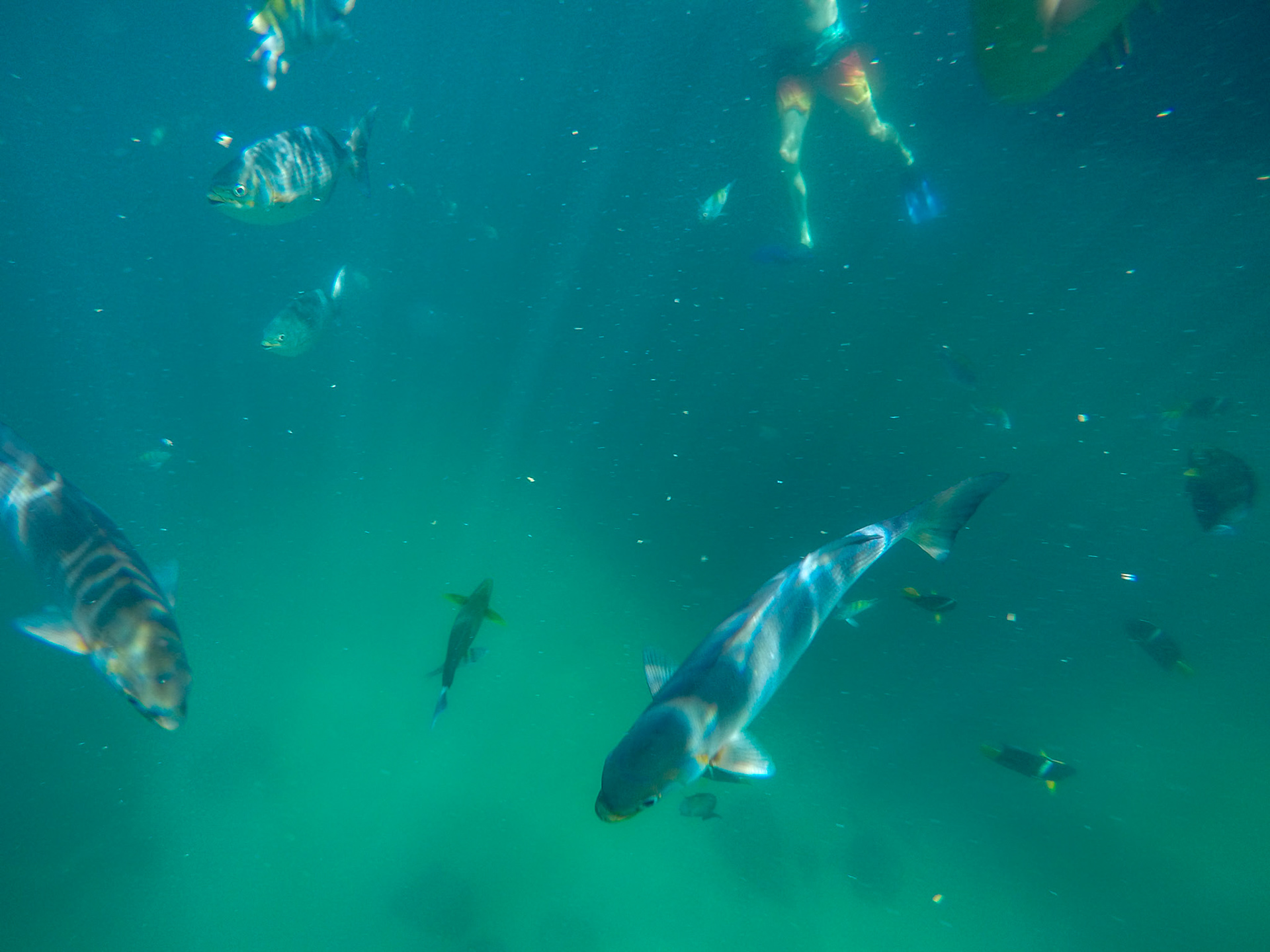 DCIM\100GOPRO\G0032648.