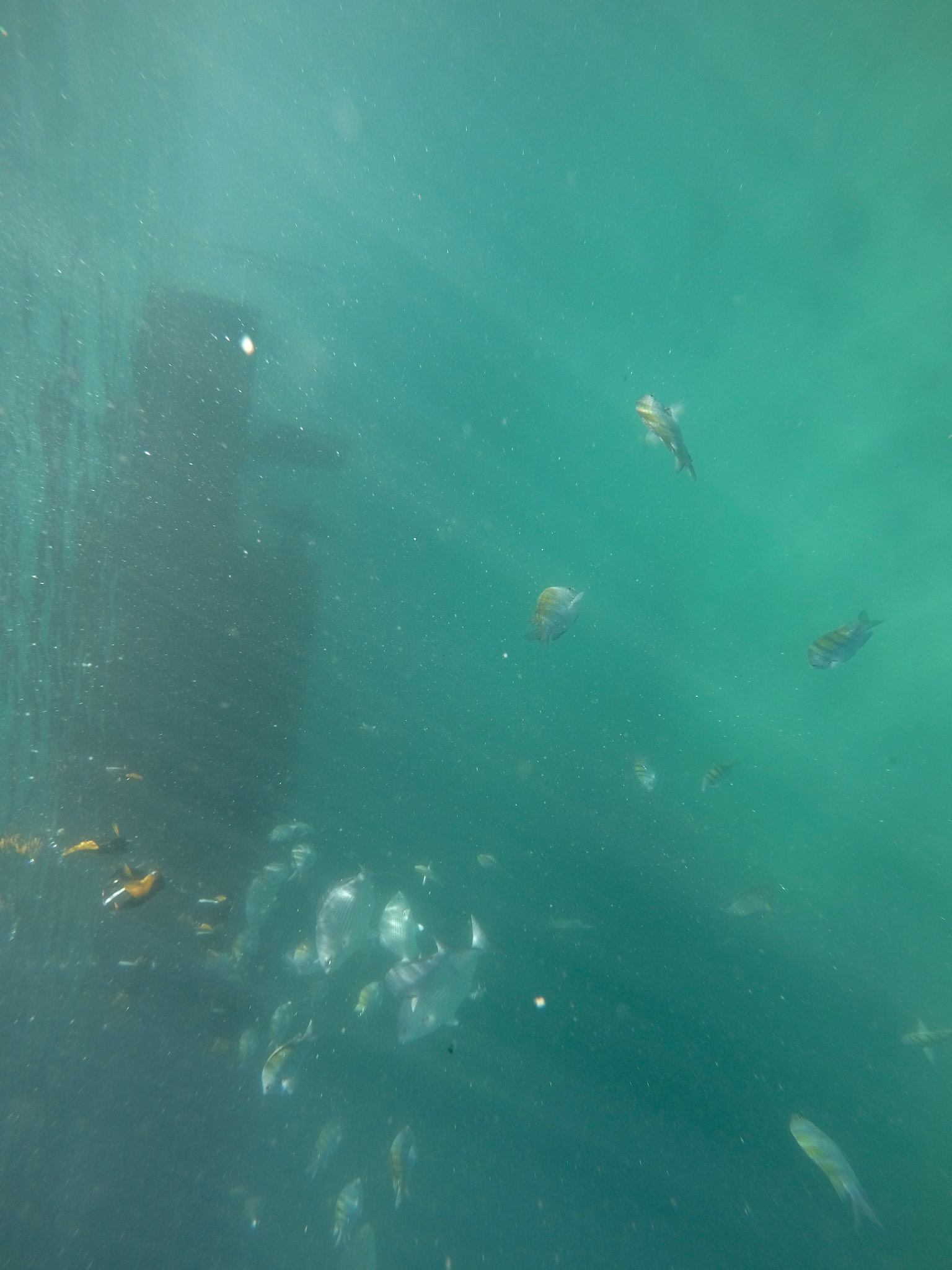 DCIM\100GOPRO\GOPR2577.