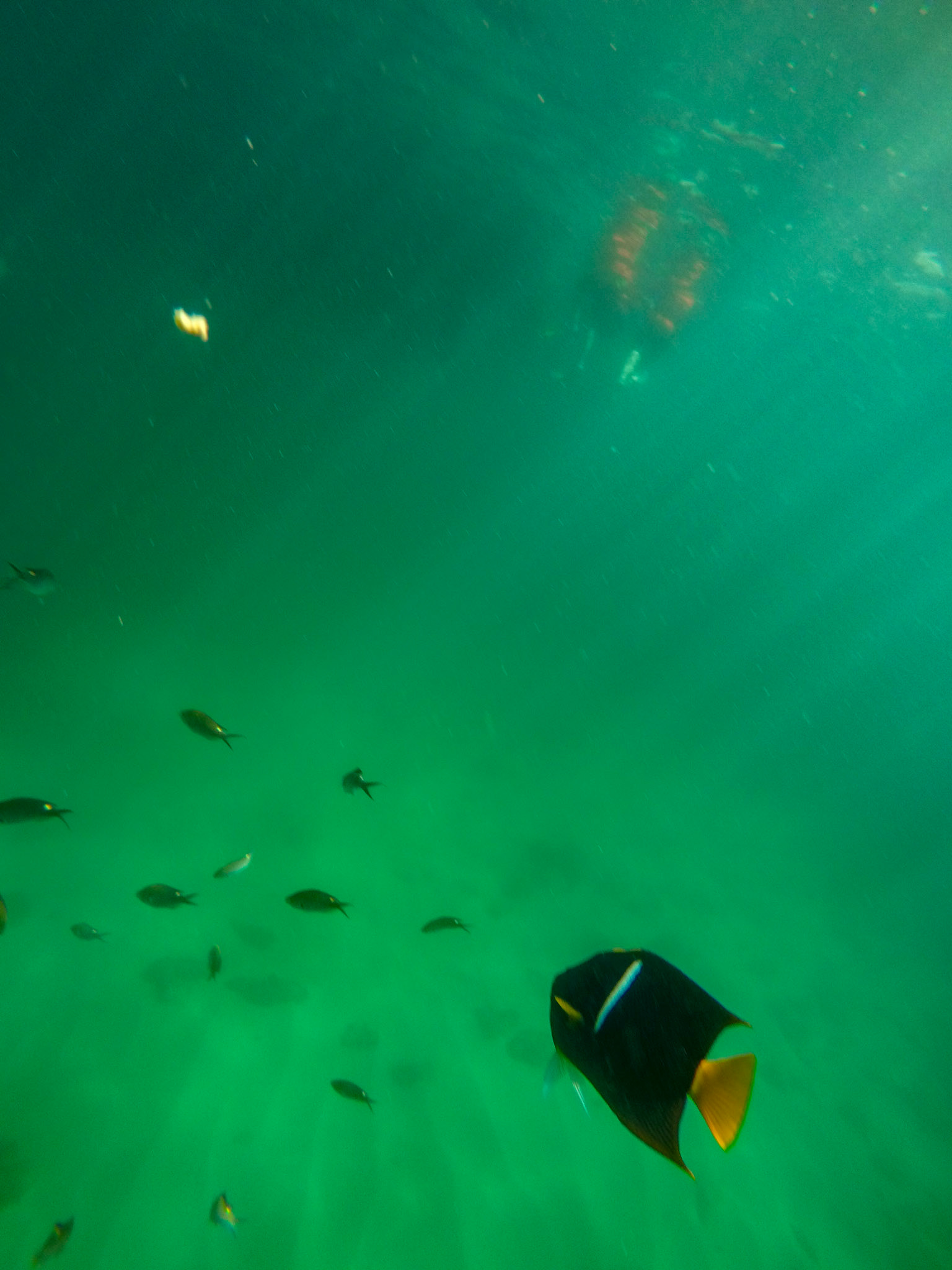 DCIM\100GOPRO\G0102862.