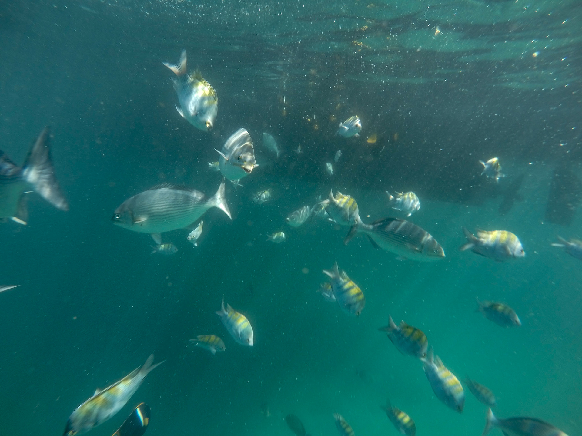 DCIM\100GOPRO\GOPR2578.