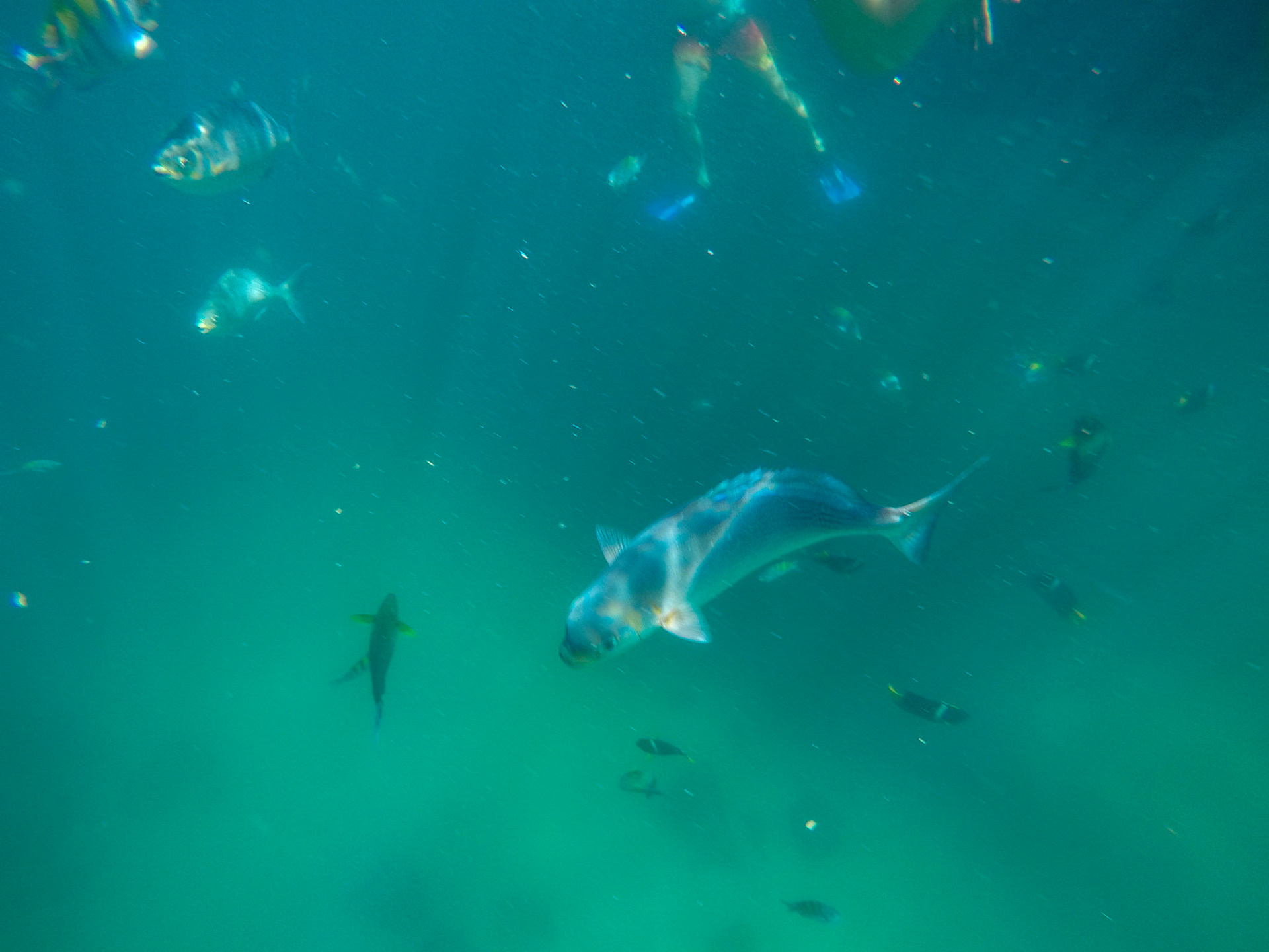 DCIM\100GOPRO\G0032644.