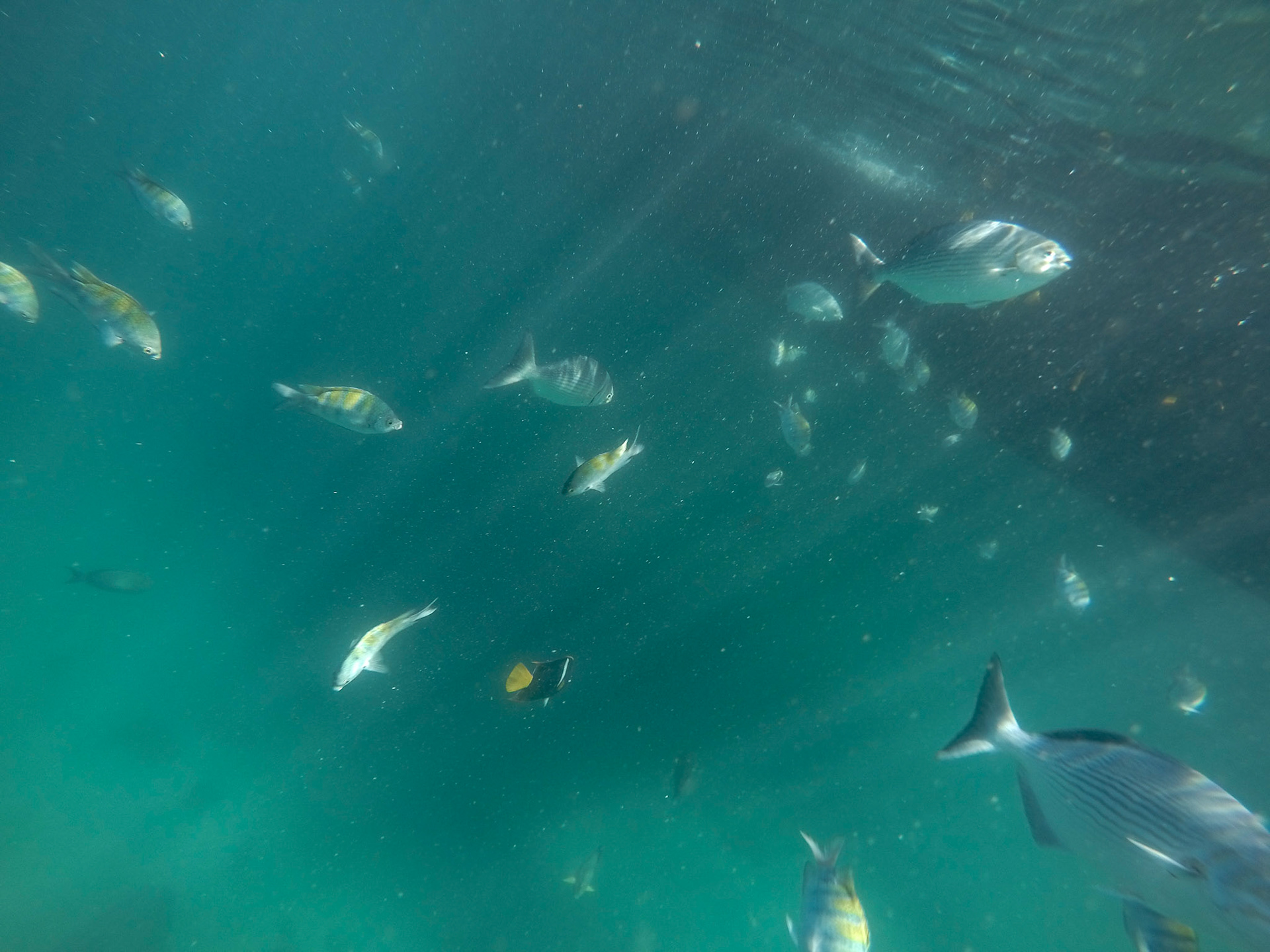 DCIM\100GOPRO\GOPR2579.