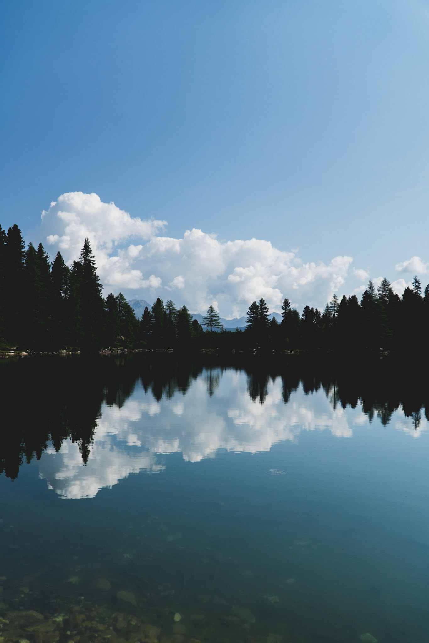 Reflections