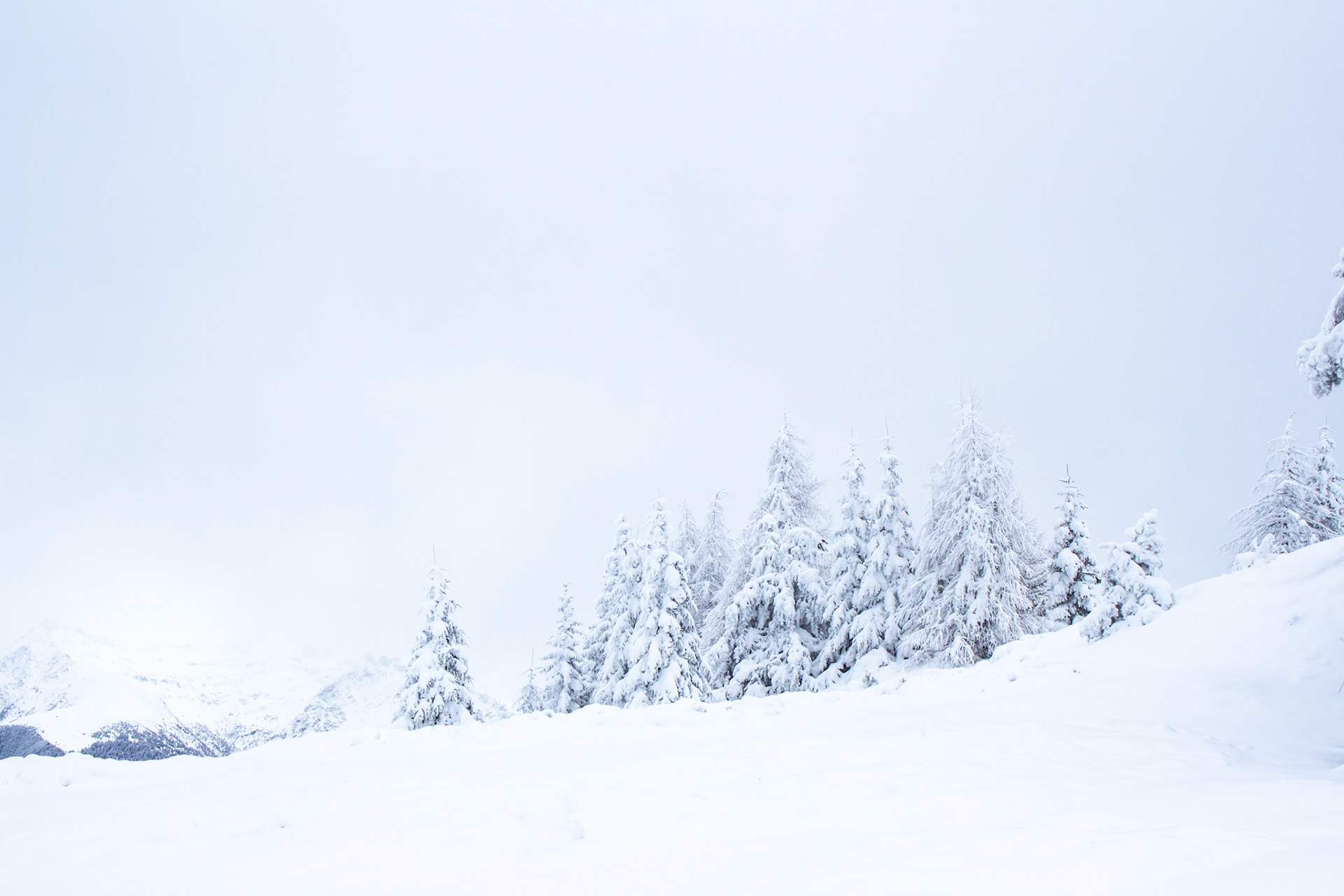 White as Winter
