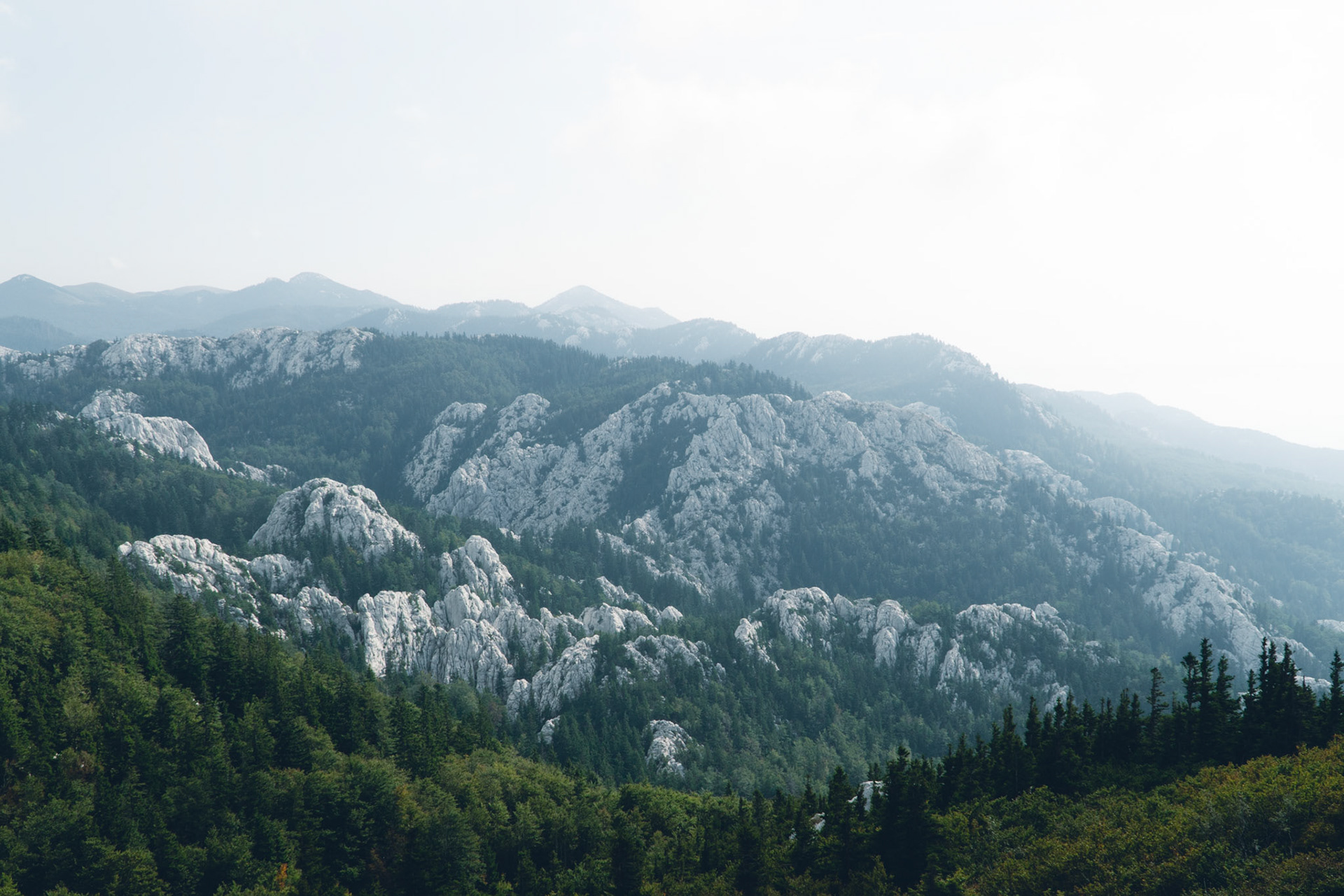 White Mountains