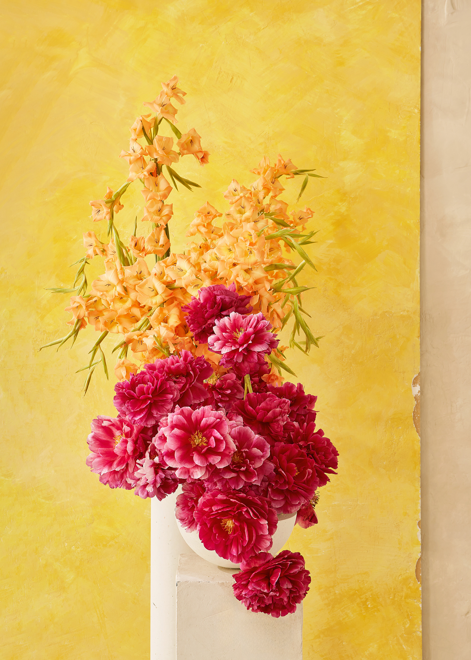 Installation and photography: Estudio Seiva for MFS