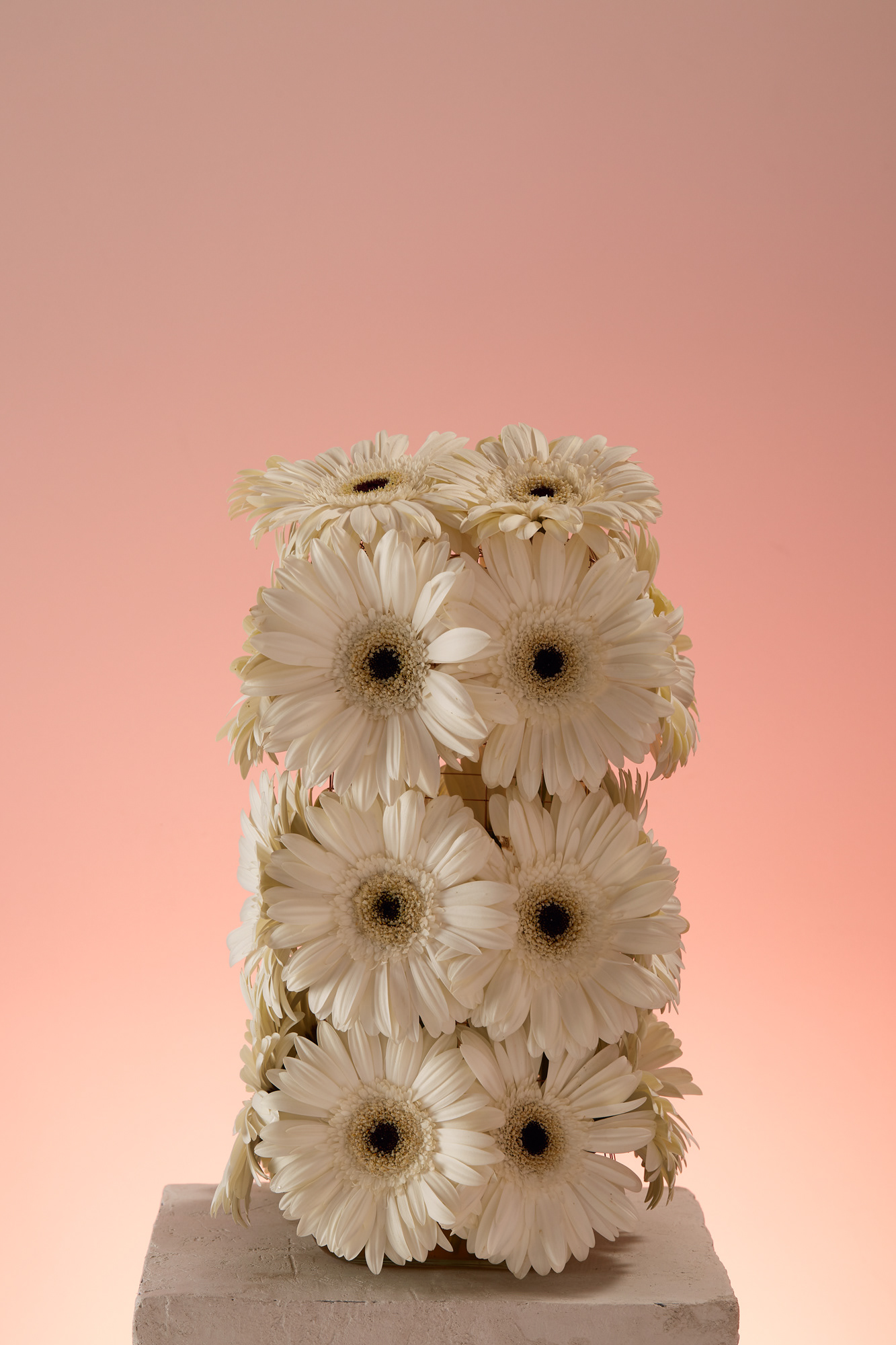 Floral Sculpture and photography: Estudio Seiva