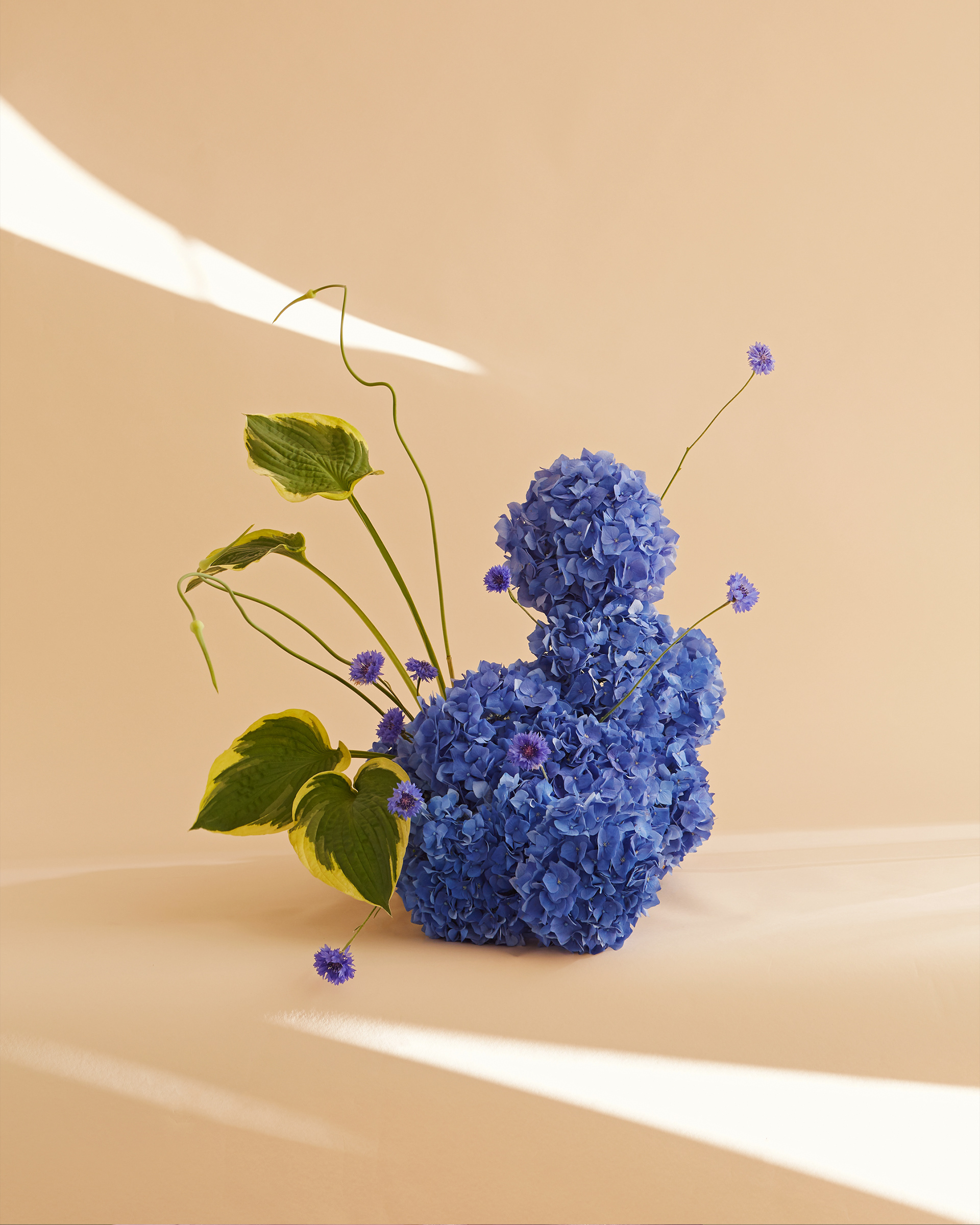 Arrangement and photography: Estudio Seiva for MFS. Art Director: Manuel Godoy Pareja