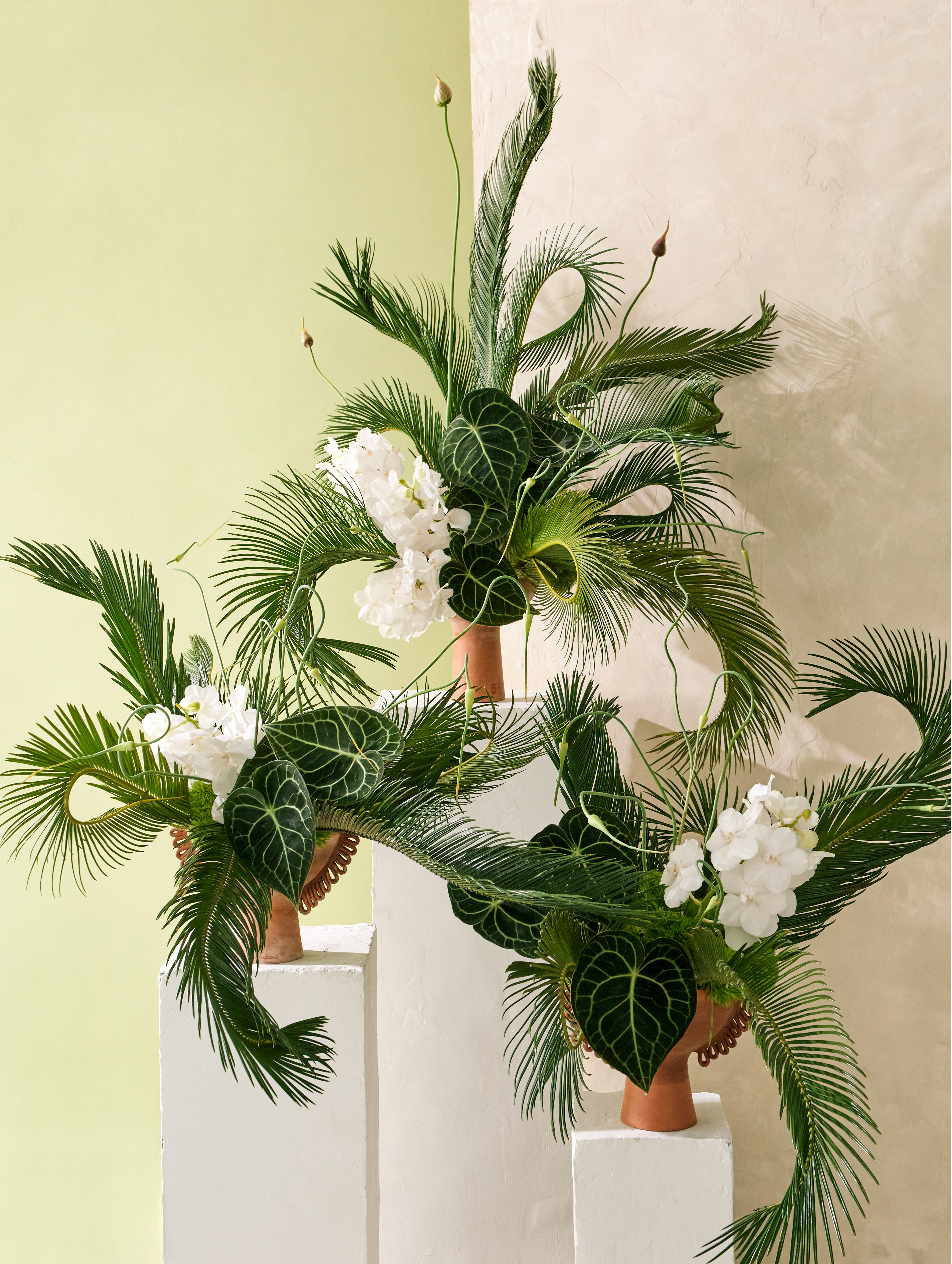 Installation for hotels at MFS.  Floral design and photography: Estudio Seiva. Art Director: Manuel Godoy Pareja