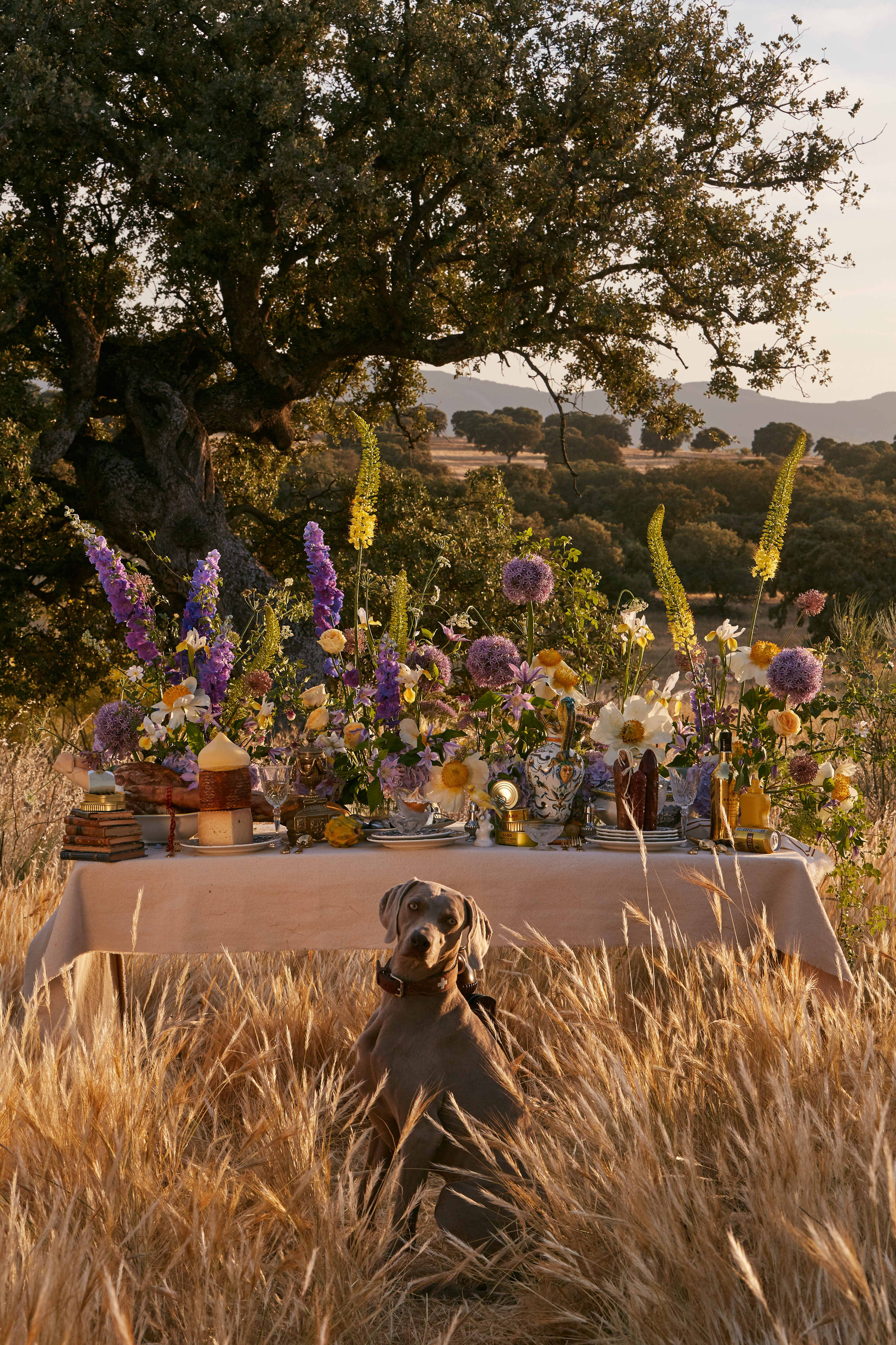 Styled Shoot for MFS. Photography: Estudio Seiva. Florals: Anila FLowers. Art Director: Manuel Godoy Pareja