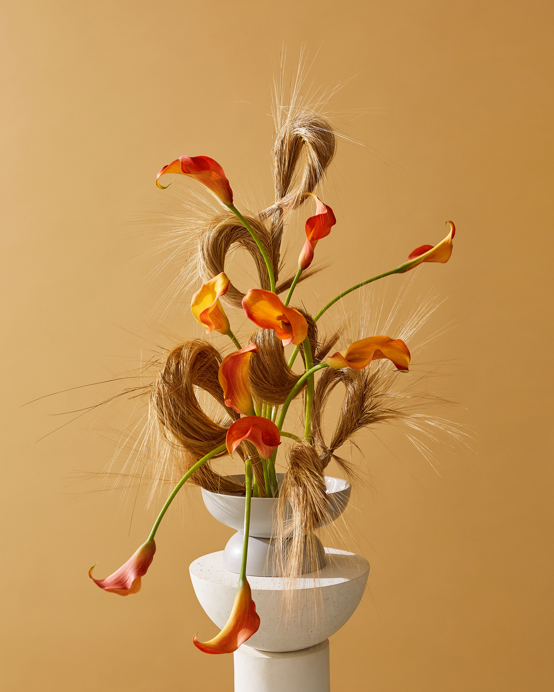 Arrangement and photography: Estudio Seiva for MFS. Art Director: Manuel Godoy Pareja