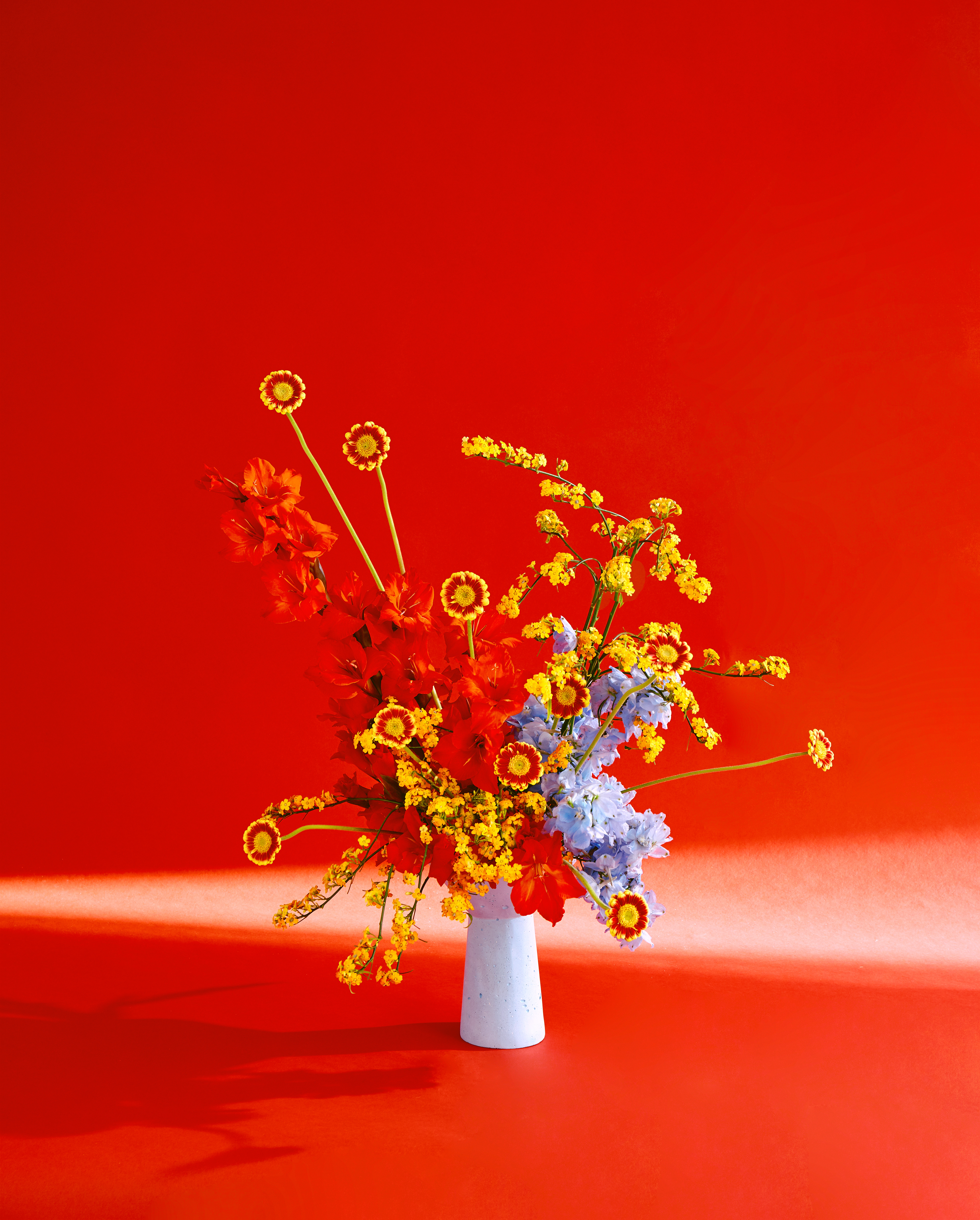Arrangement and photography: Estudio Seiva for MFS. Art Director: Manuel Godoy Pareja