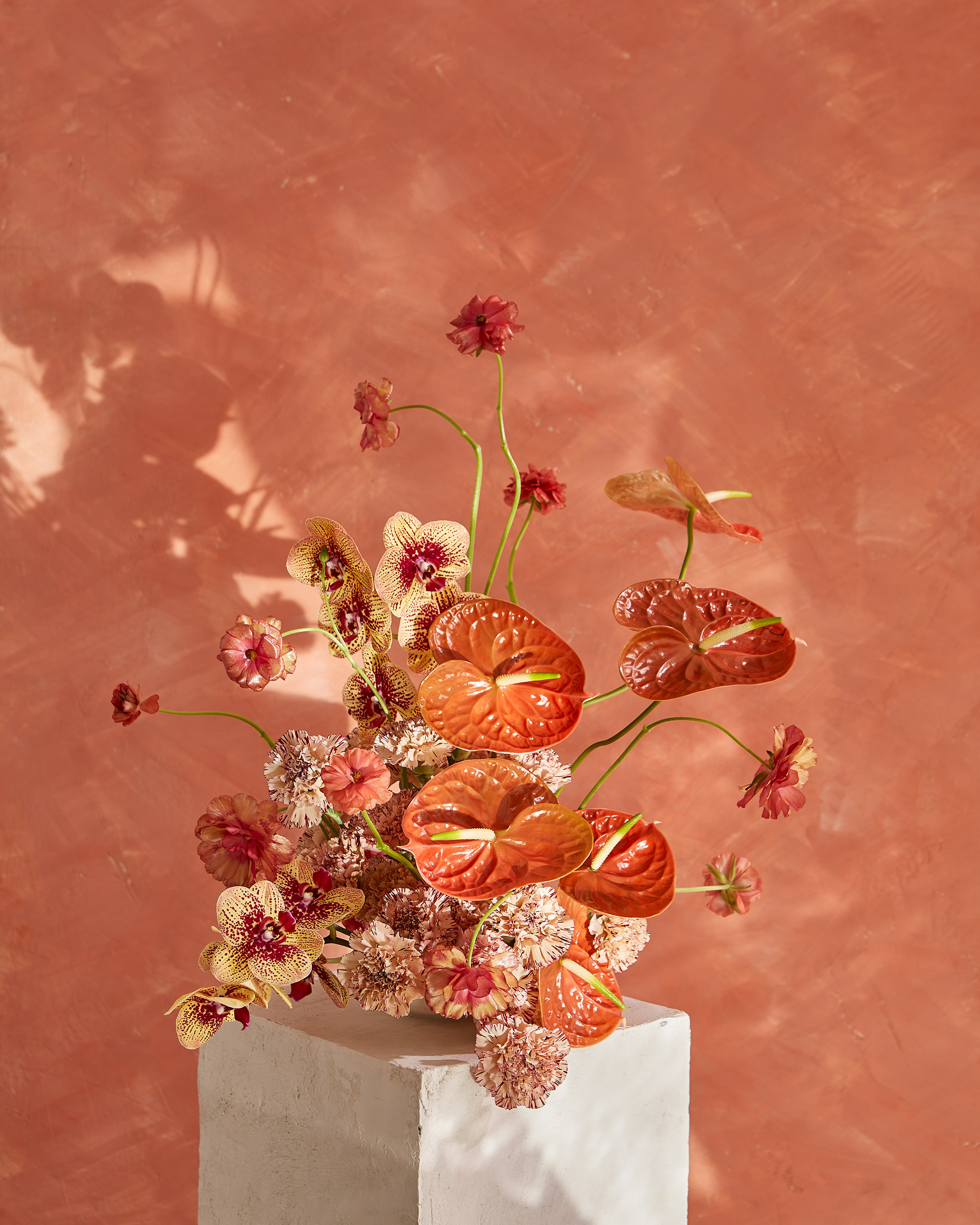 Arrangement and photography: Estudio Seiva for MFS. Art Director: Manuel Godoy Pareja