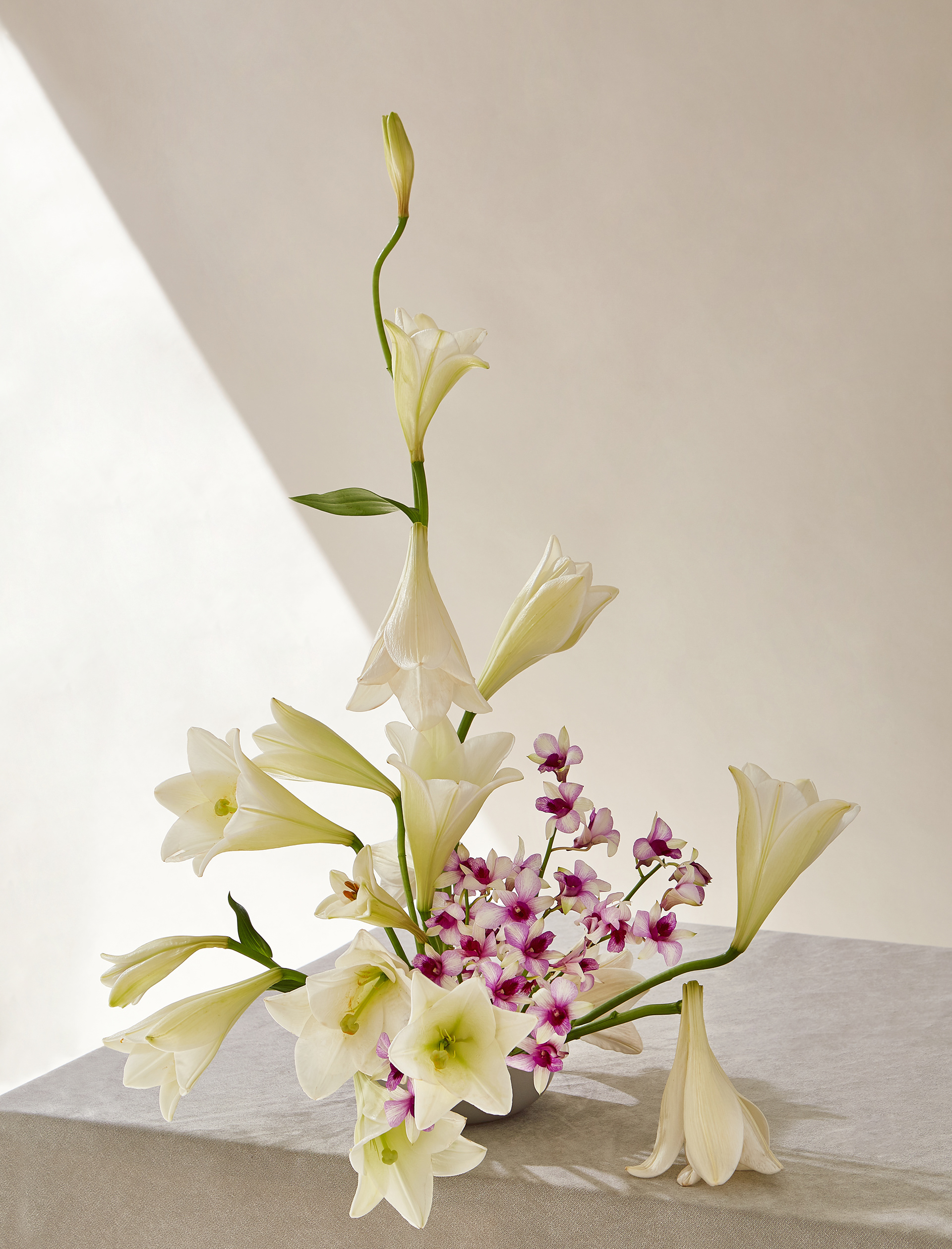 Arrangement and photography: Estudio Seiva for MFS