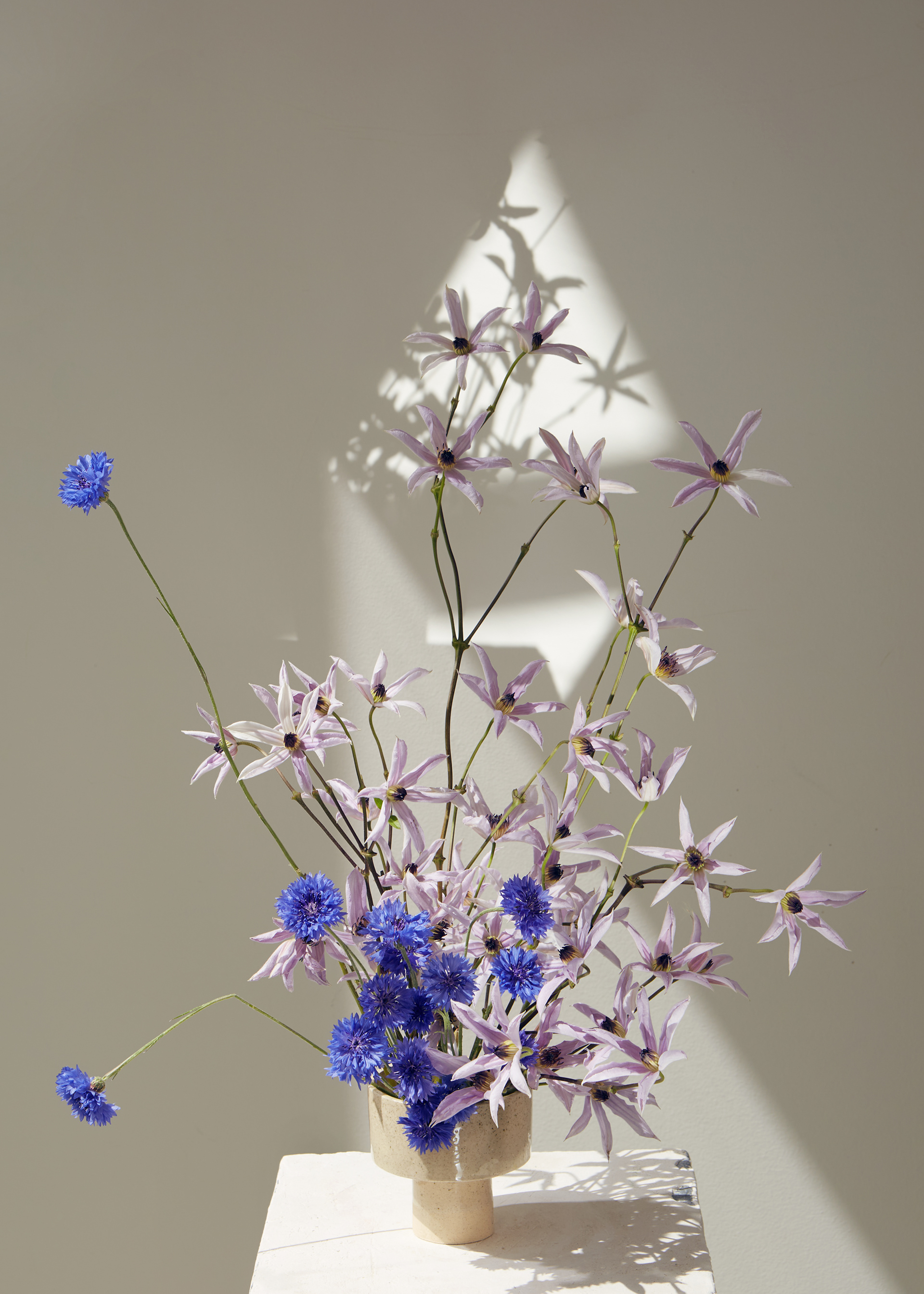 Arrangement and photography: Estudio Seiva for MFS