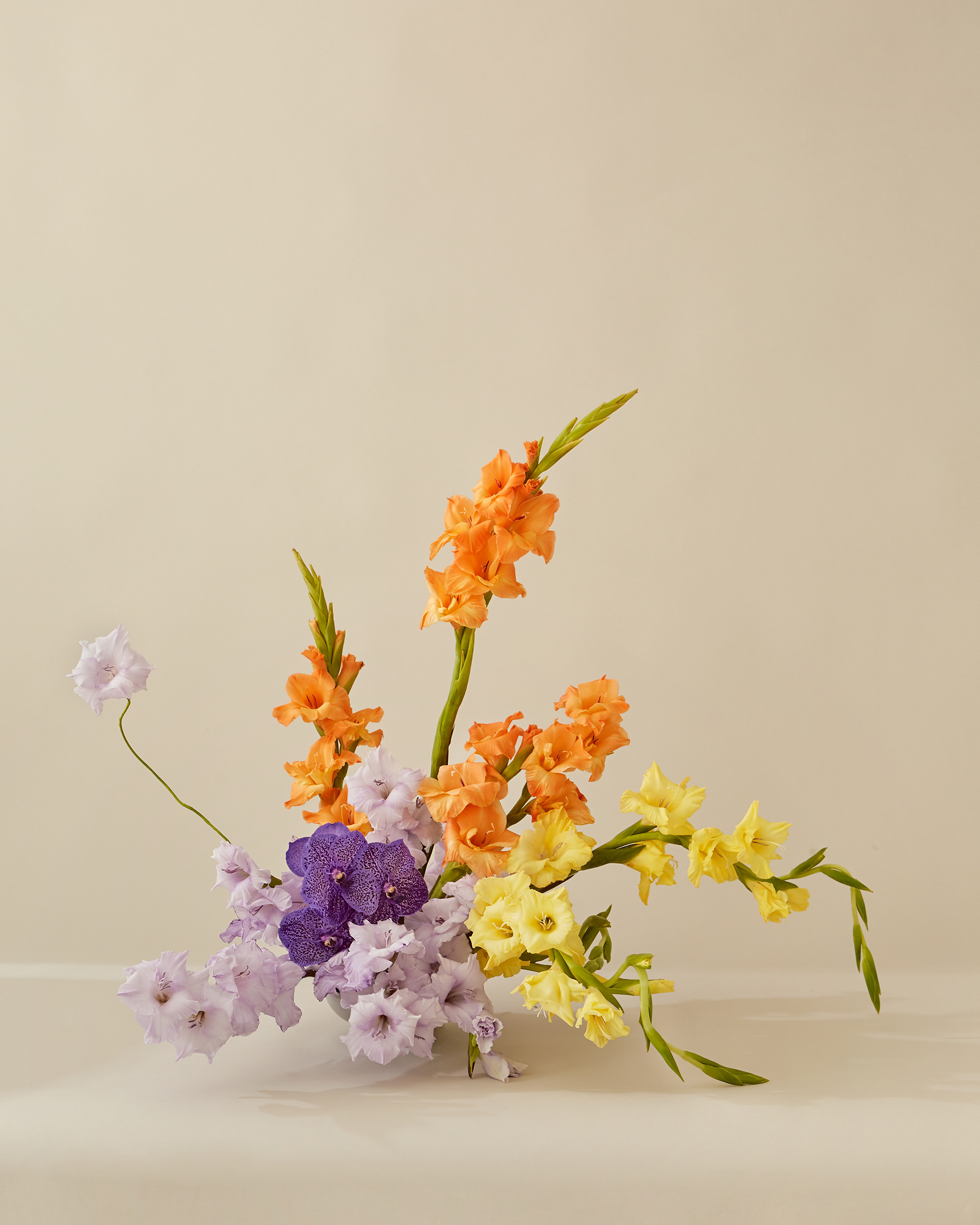 Arrangement and photography: Estudio Seiva for MFS