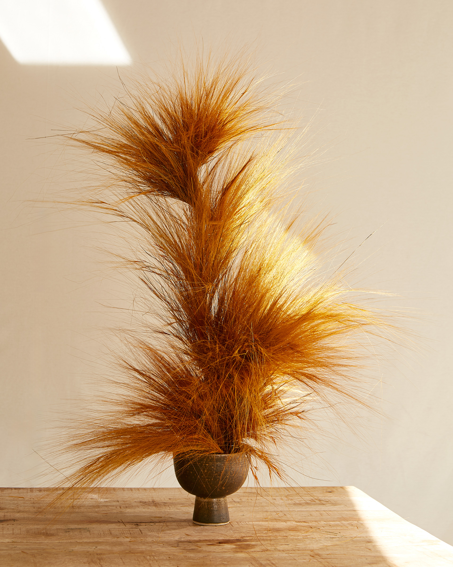 Arrangement and photography: Estudio Seiva for MFS