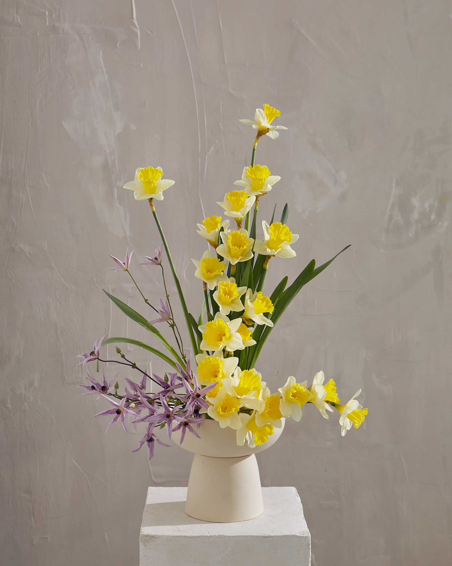 Arrangement and photography: Estudio Seiva for MFS. Art Director: Manuel Godoy Pareja