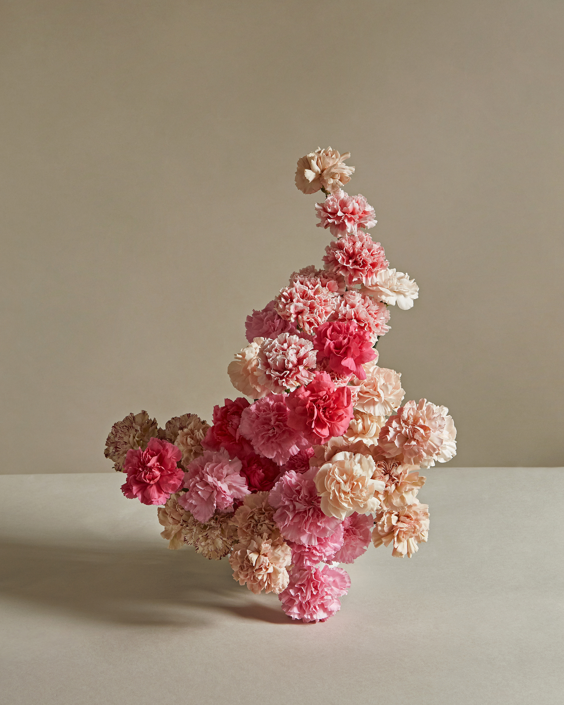 Arrangement and photography: Estudio Seiva for MFS