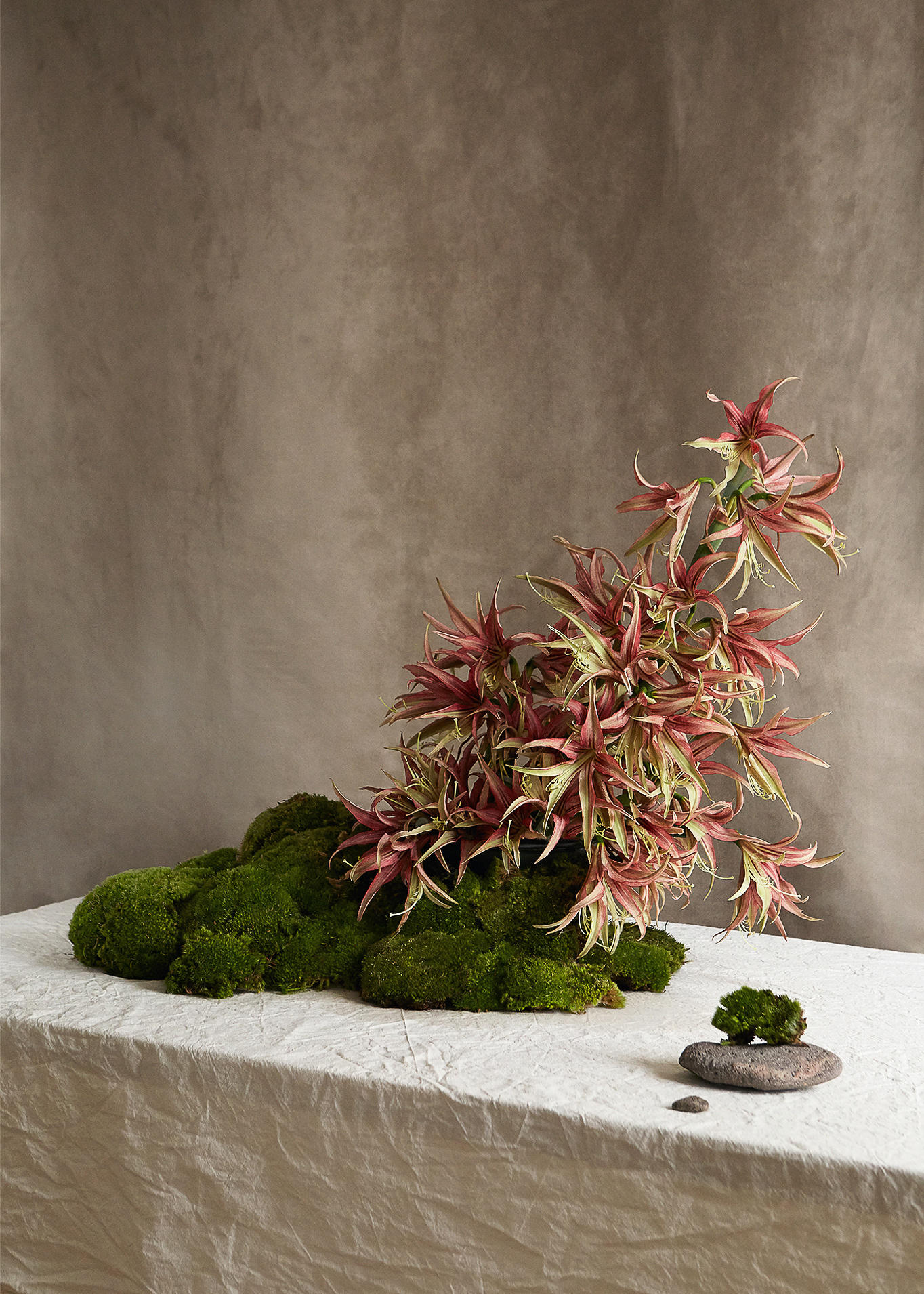 Floral Scuplture and photography: Estudio Seiva for MFS