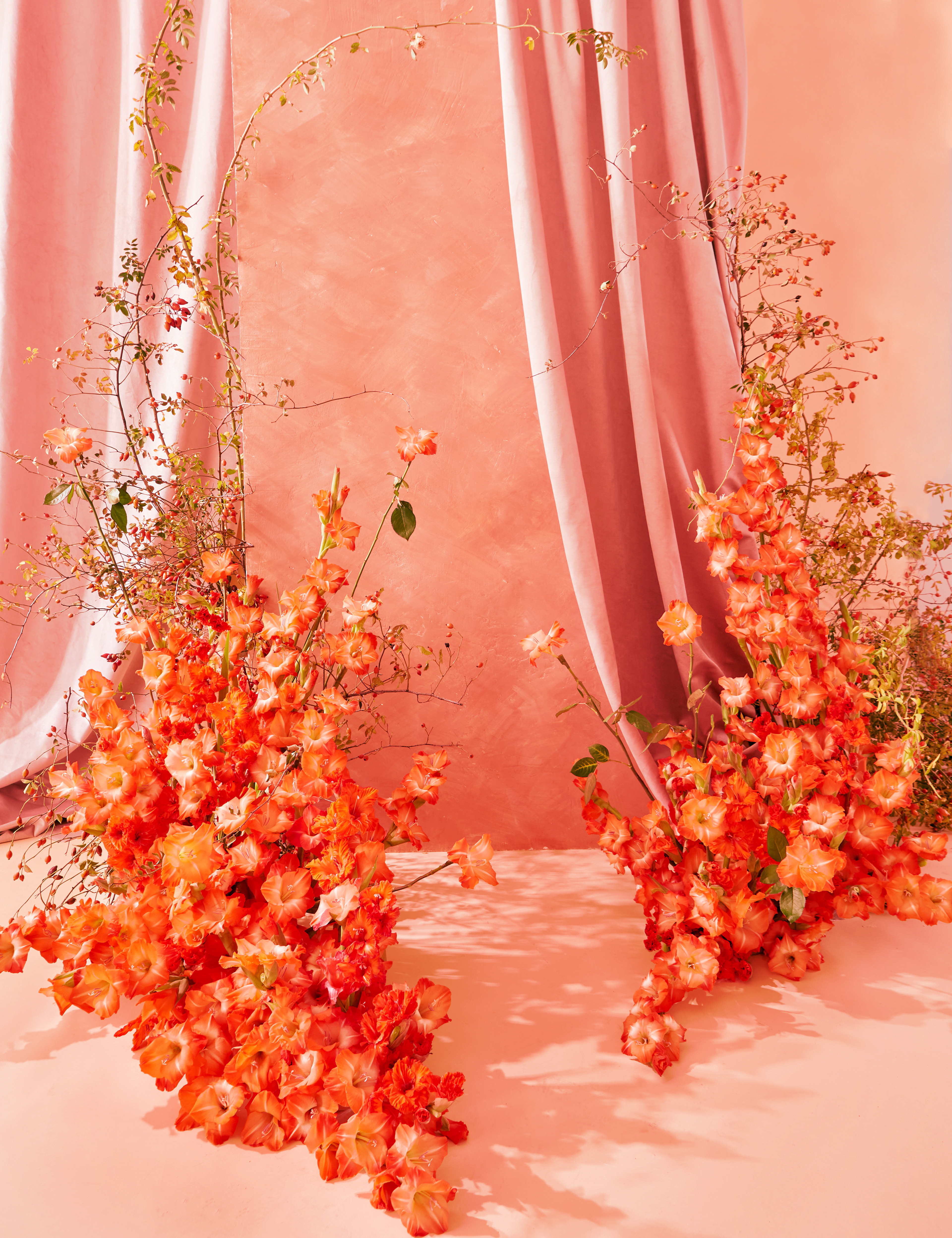 Installation: Estudio Seiva with Semilla Salvaje for MFS. Photography: Estudio Seiva. Art Director: Manuel Godoy Pareja