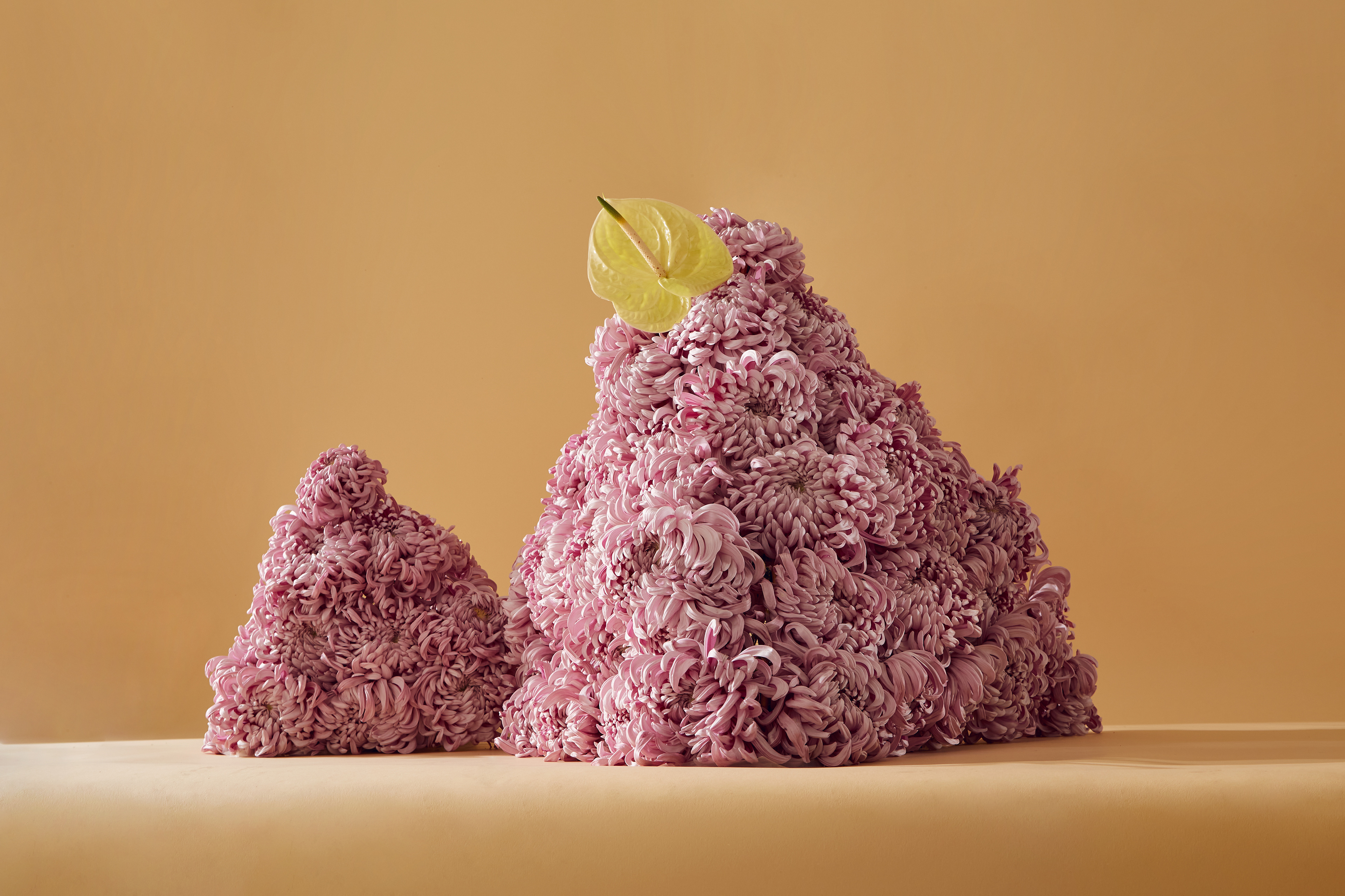 Nairobi-Aalsmeer. Personal project. Installation and photography: Estudio Seiva