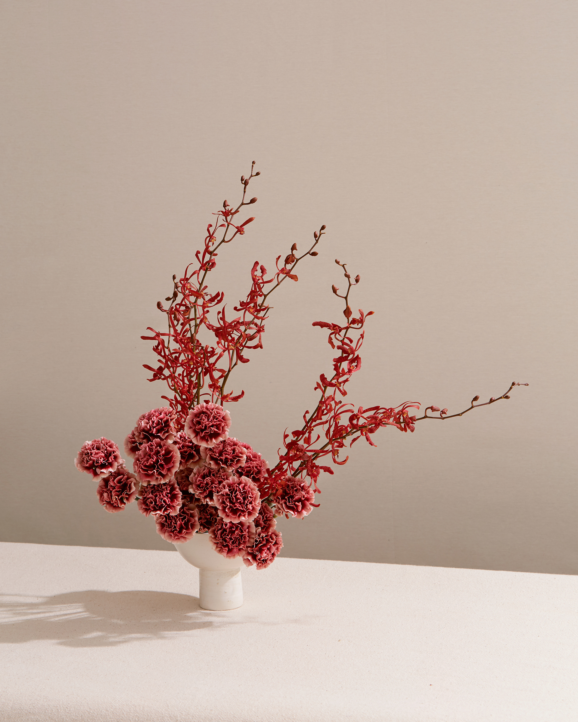 Arrangement and photography: Estudio Seiva for MFS. Art Director: Manuel Godoy Pareja