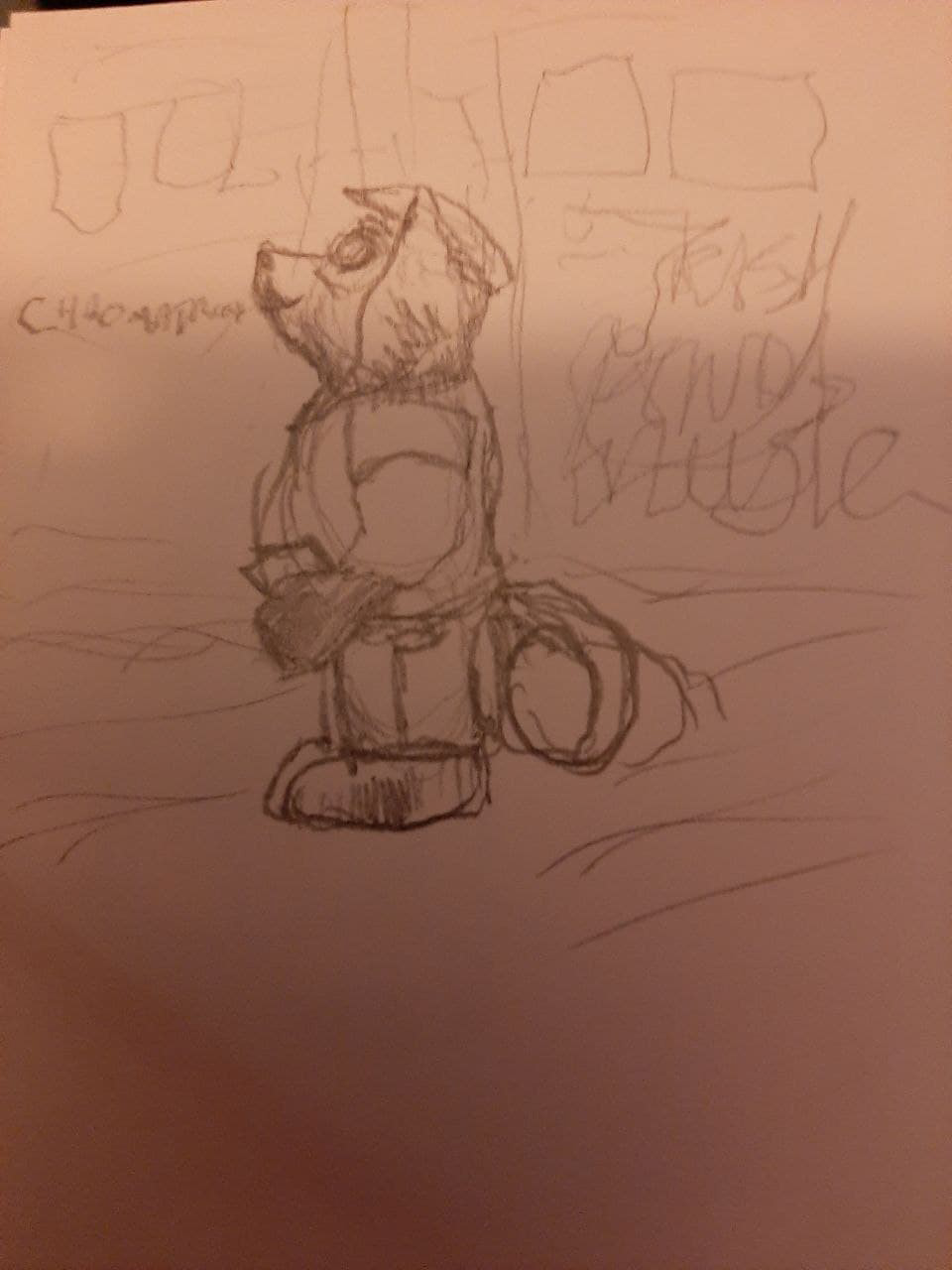 The initial sketch of the erstwhile trash panda.