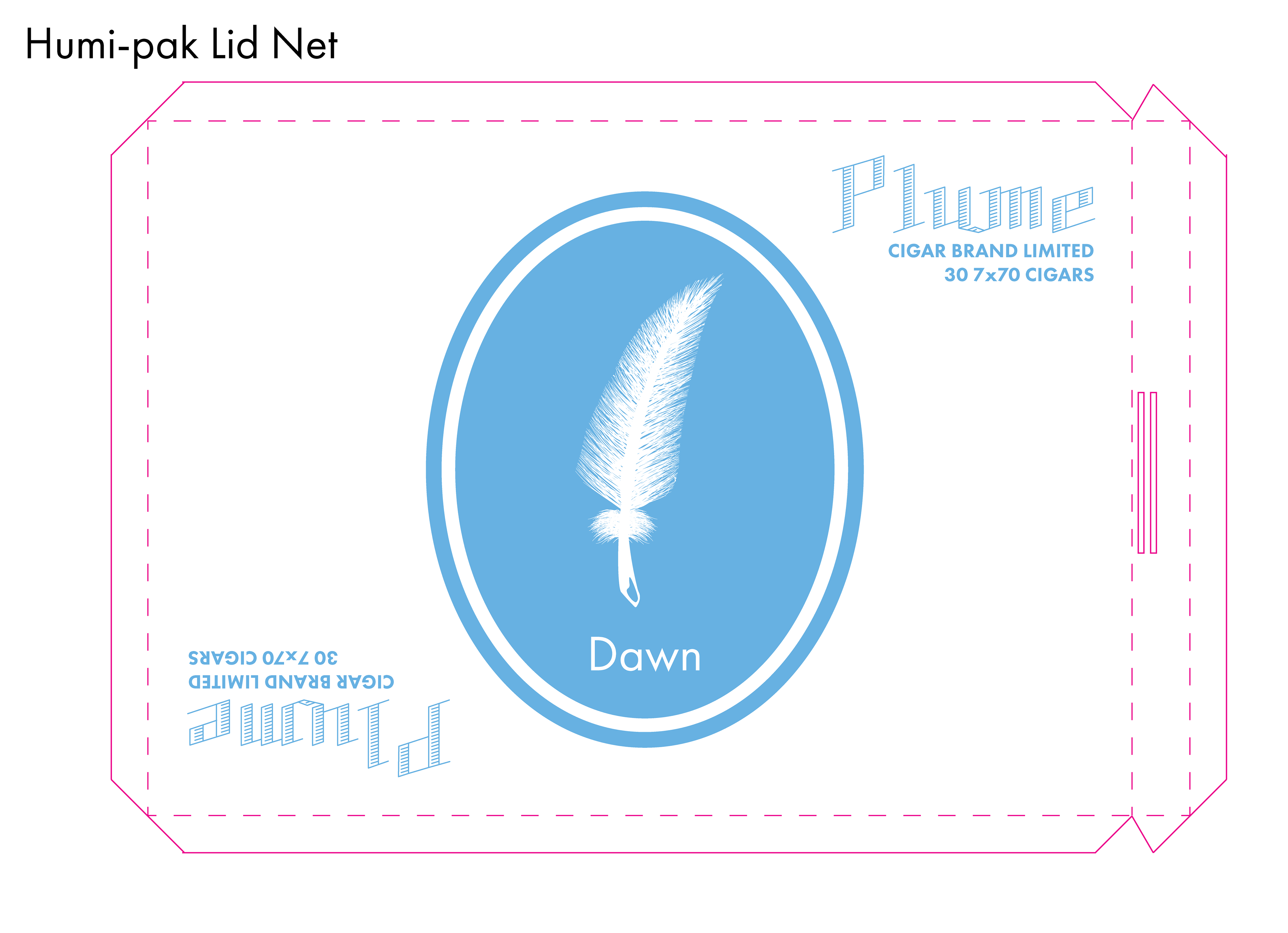 Package netting 1