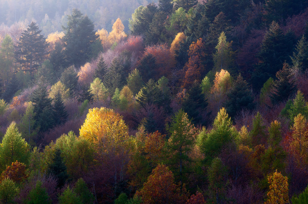 Palette - 11.2022