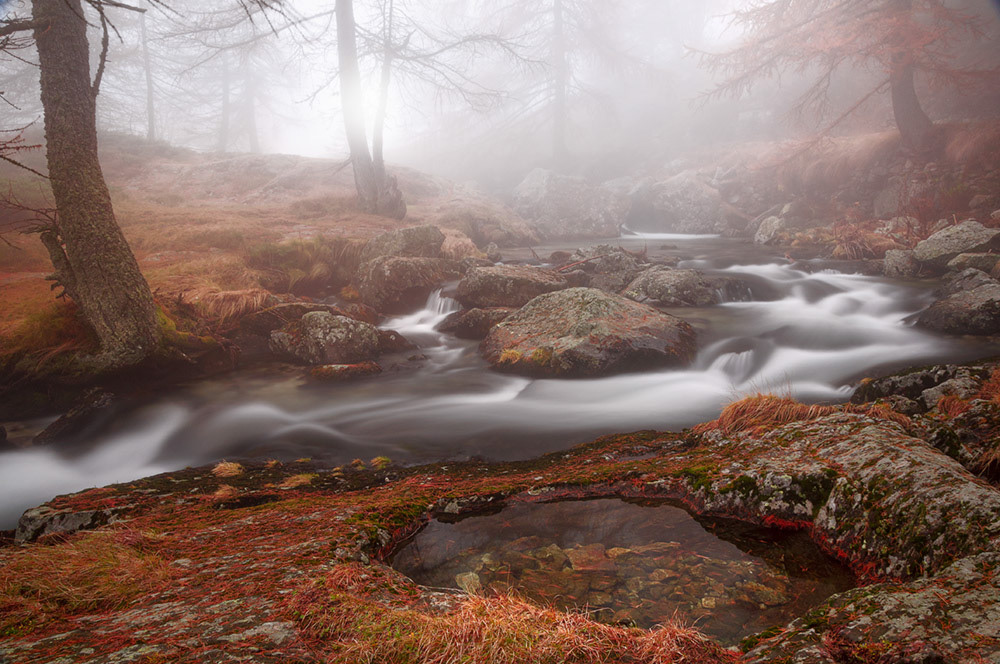 La nebbia di novembre - 11.2019