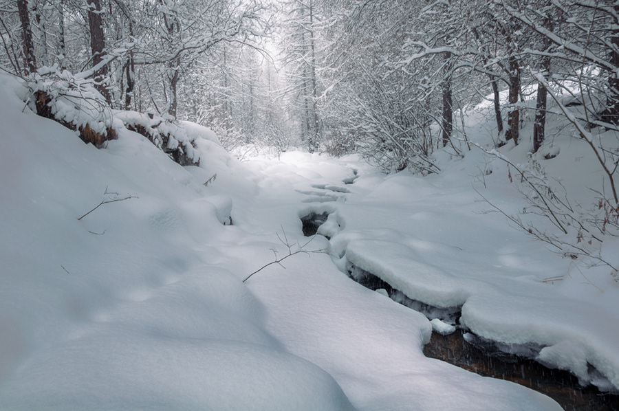 Piccoli passi sulla neve - 12.2021