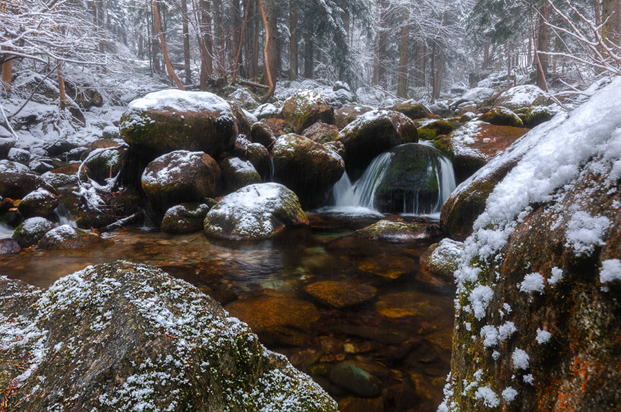 Ultime nevi - 03.2022