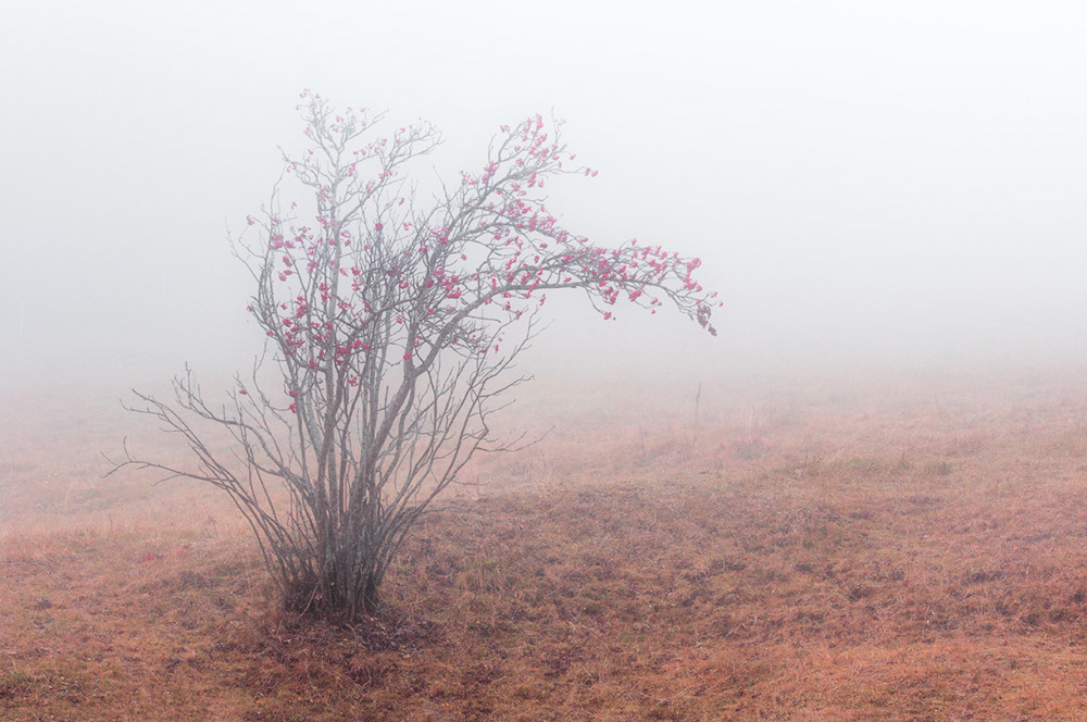 Last days of October - 10.22